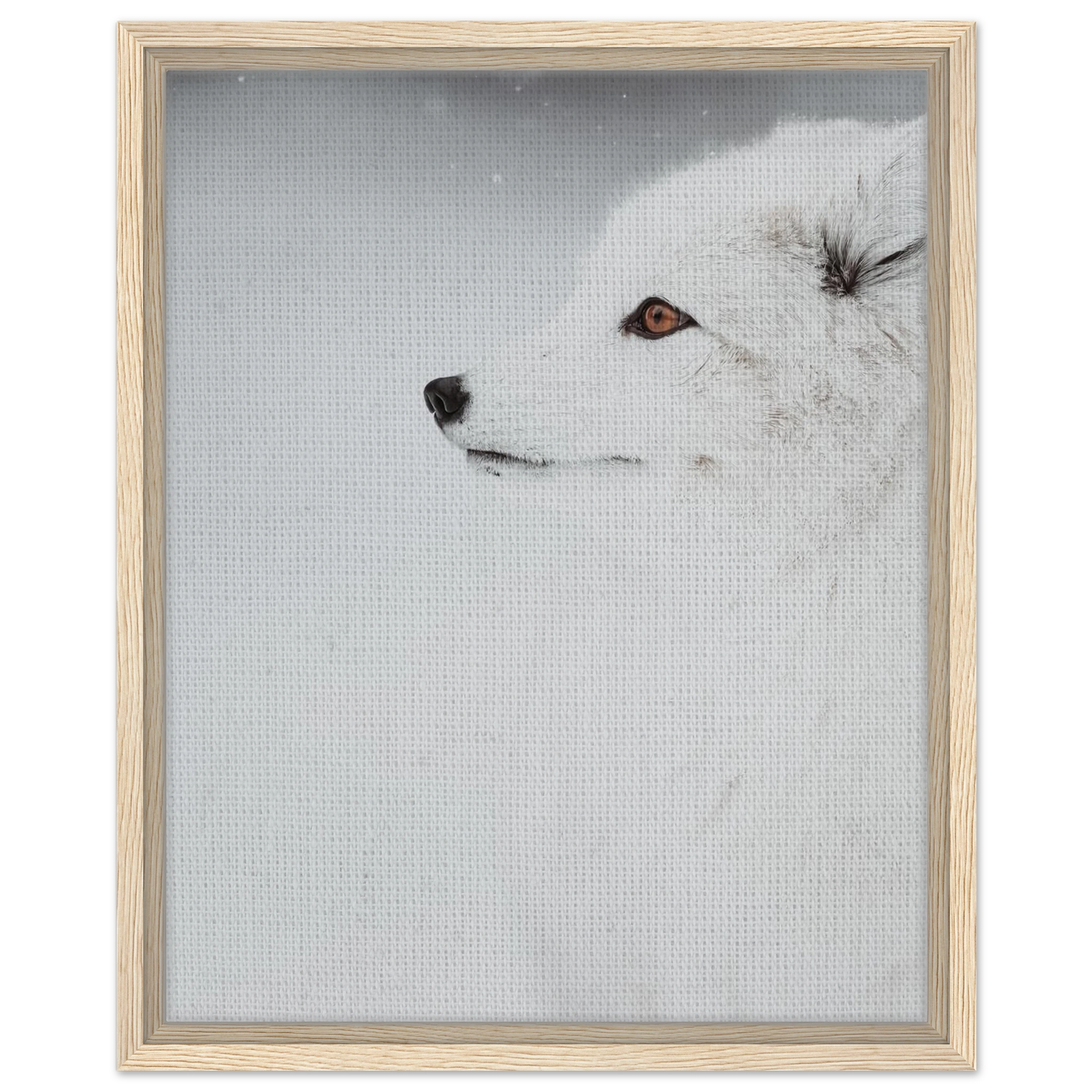 685c6bbb-61ce-45fb-a7c6-3f18a69a0b66