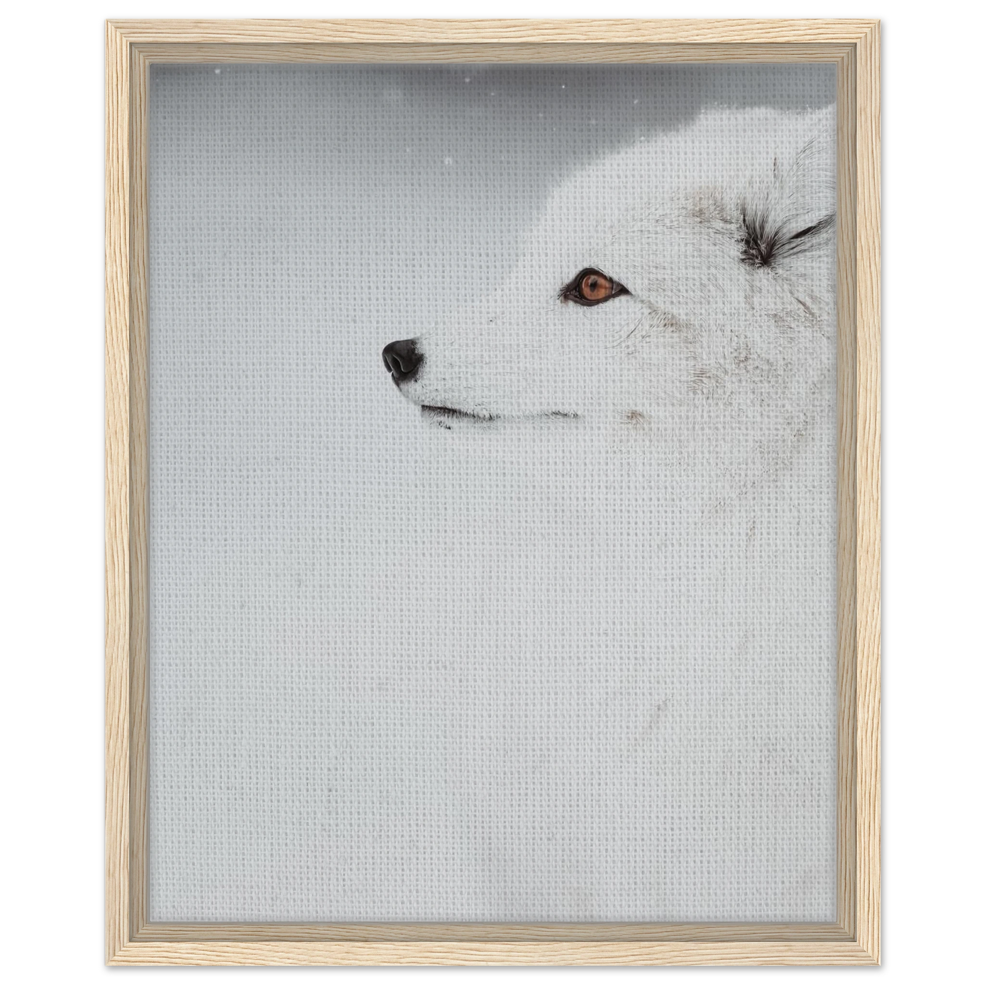 685c6bbb-61ce-45fb-a7c6-3f18a69a0b66