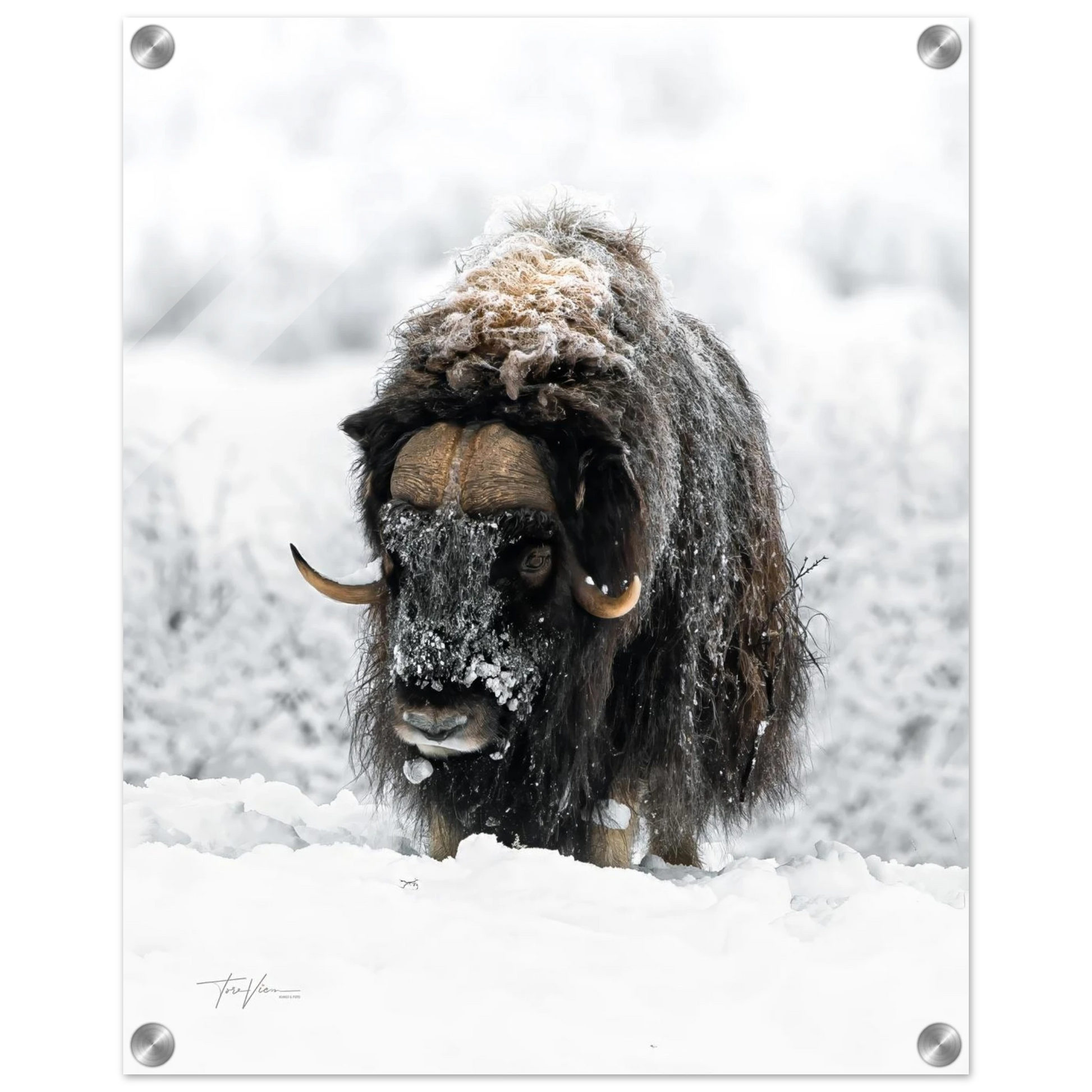 6969720e-5755-437b-8558-5cdeb28765ff