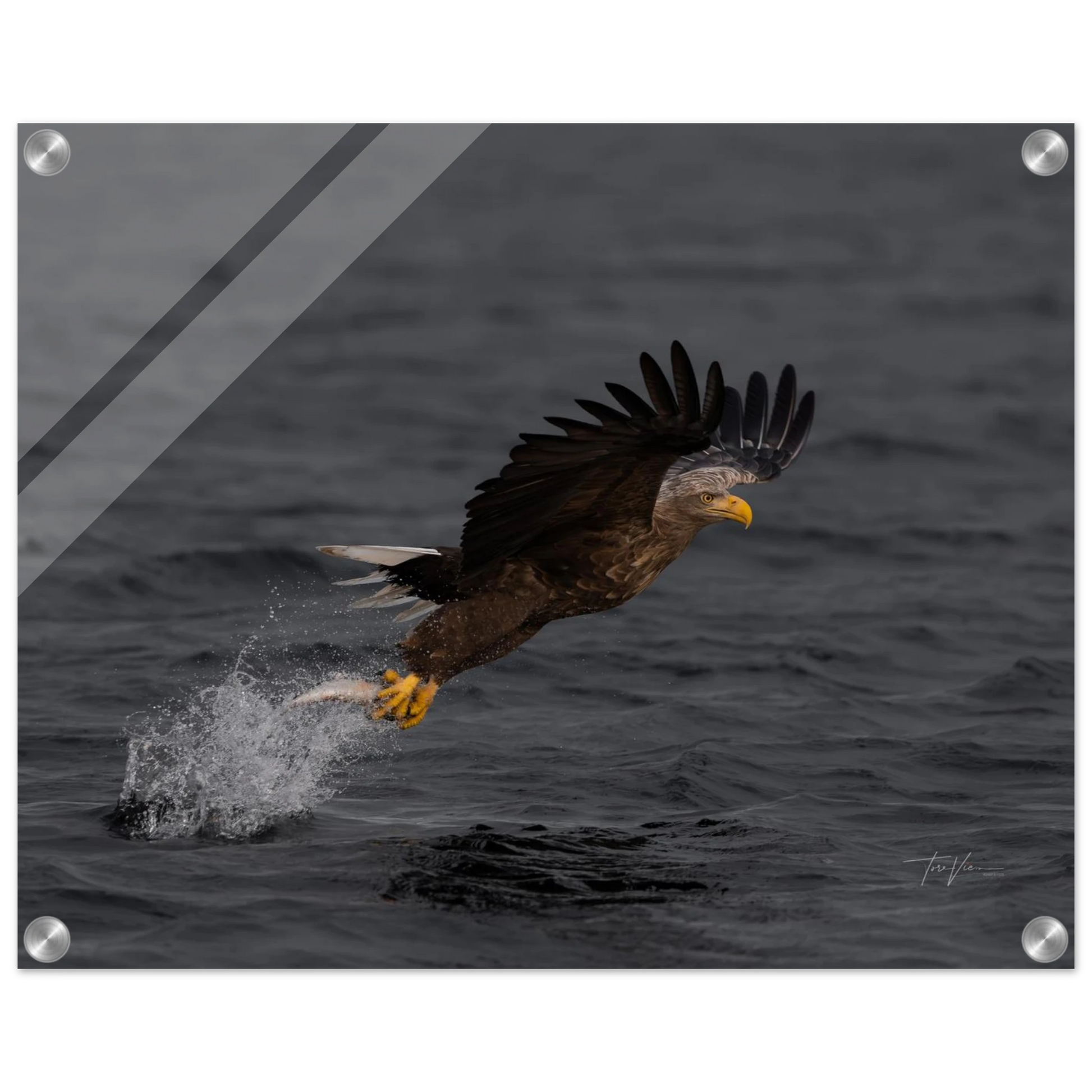 69e92fc1-ed43-4908-8081-d58fdd96e450