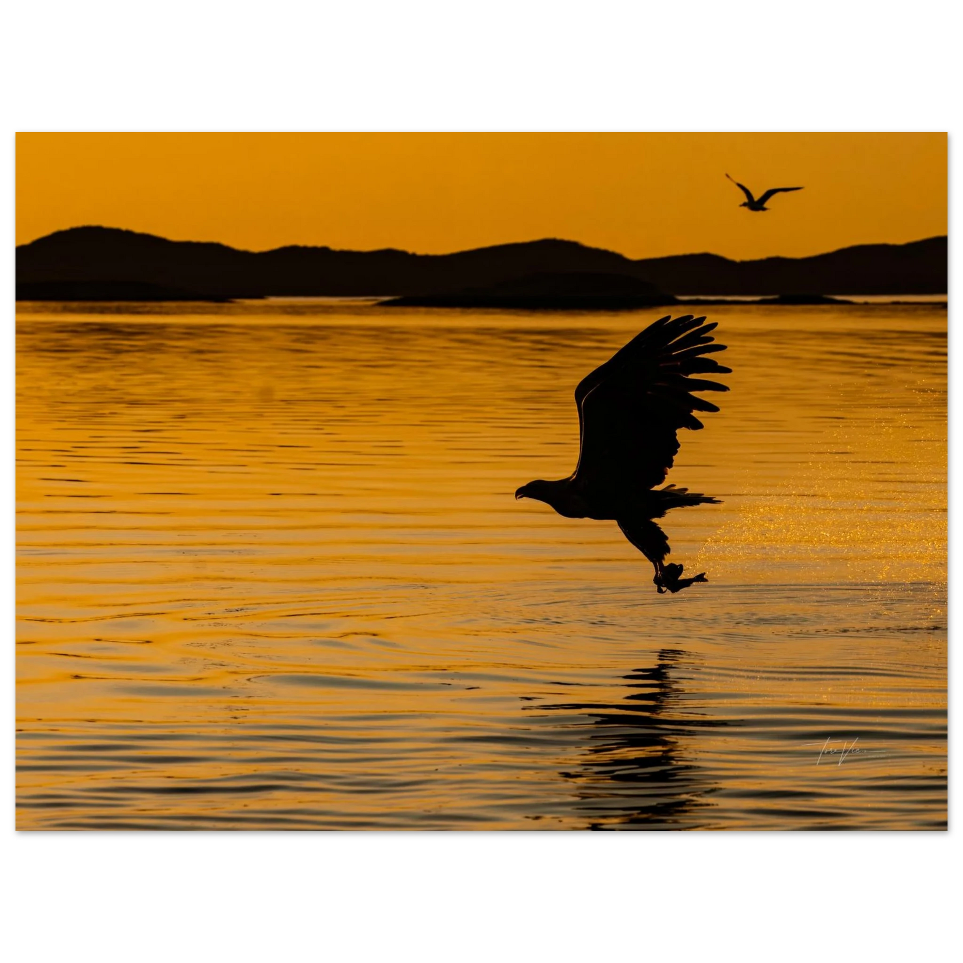 6a41df26-f390-4fa4-8eec-67b435e3fa30