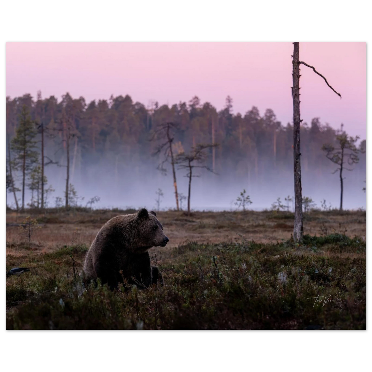 6aaa8a4d-b2cc-4612-84d5-5fedc0d8f21c