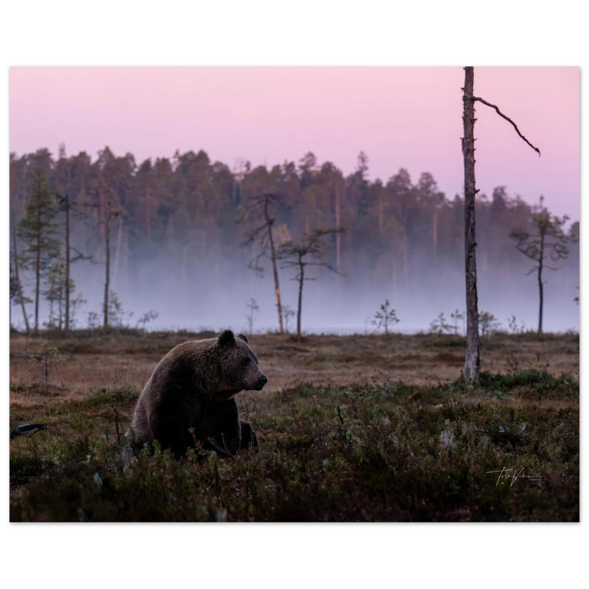 6aaa8a4d-b2cc-4612-84d5-5fedc0d8f21c