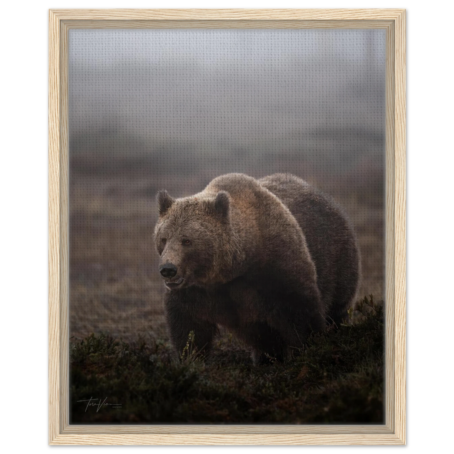 6ada0ca1-d8c5-4fe7-9d00-75b253f3e148