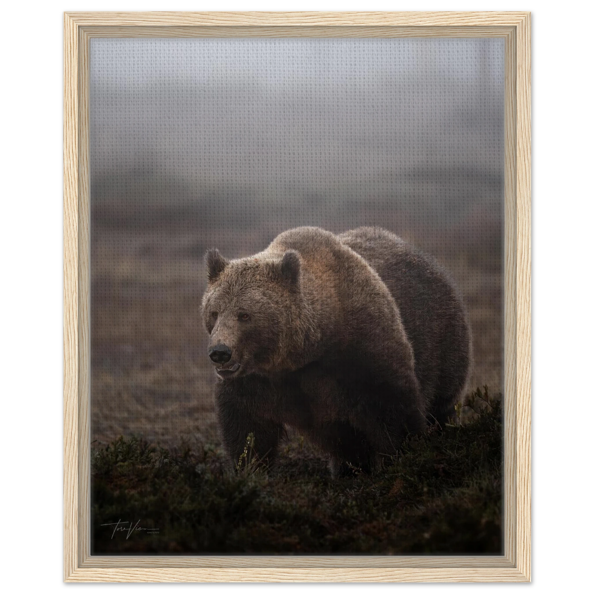 6ada0ca1-d8c5-4fe7-9d00-75b253f3e148