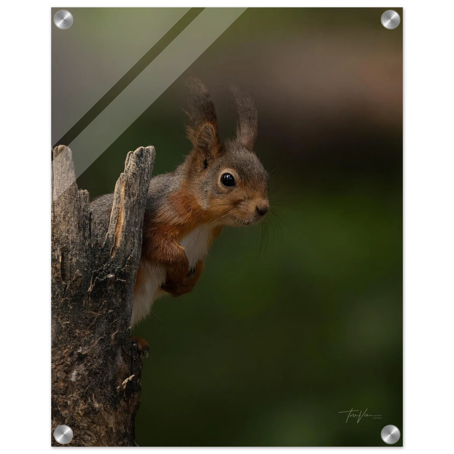 6b50a40c-cca4-4e8f-bd2f-4a402c6a030b