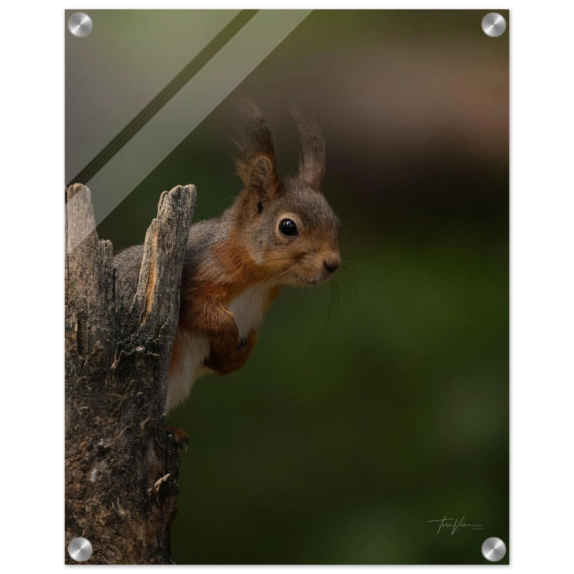 6b50a40c-cca4-4e8f-bd2f-4a402c6a030b