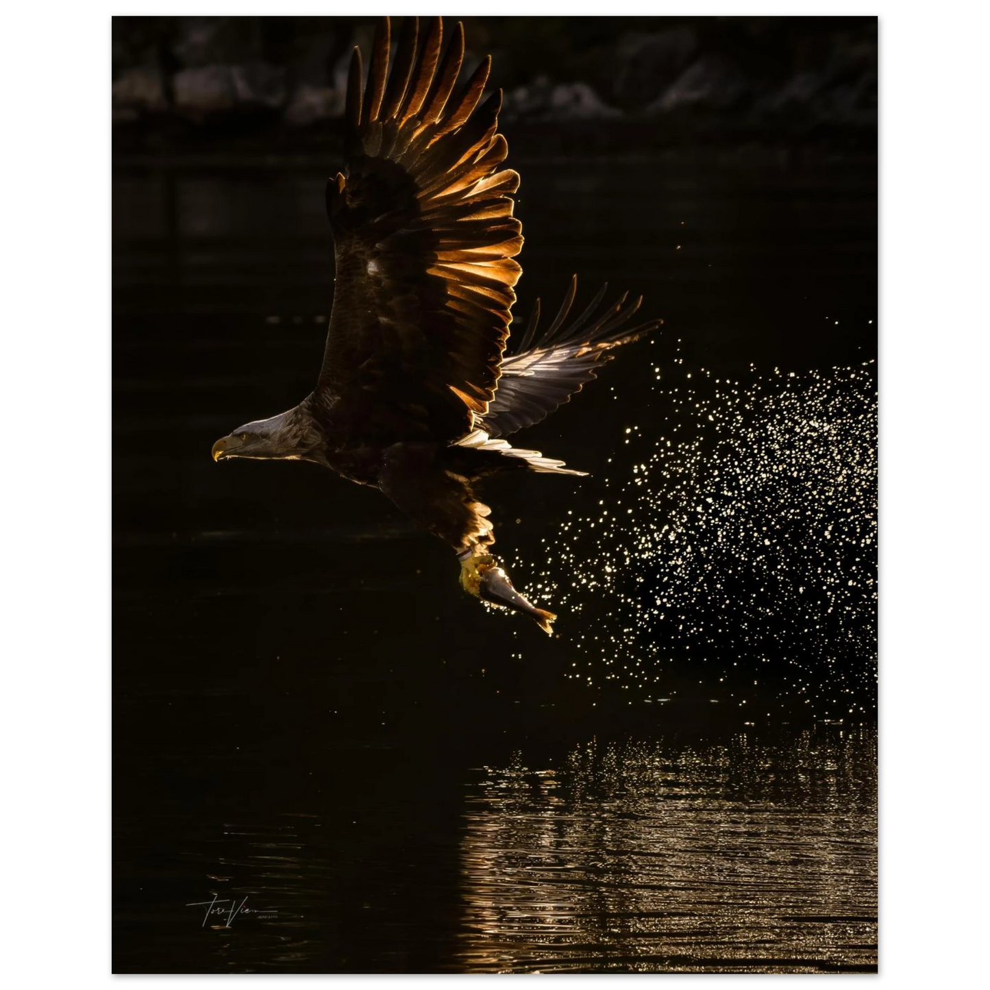 6c134a3e-47a0-4c1c-9741-792885188df5