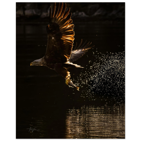 6c134a3e-47a0-4c1c-9741-792885188df5