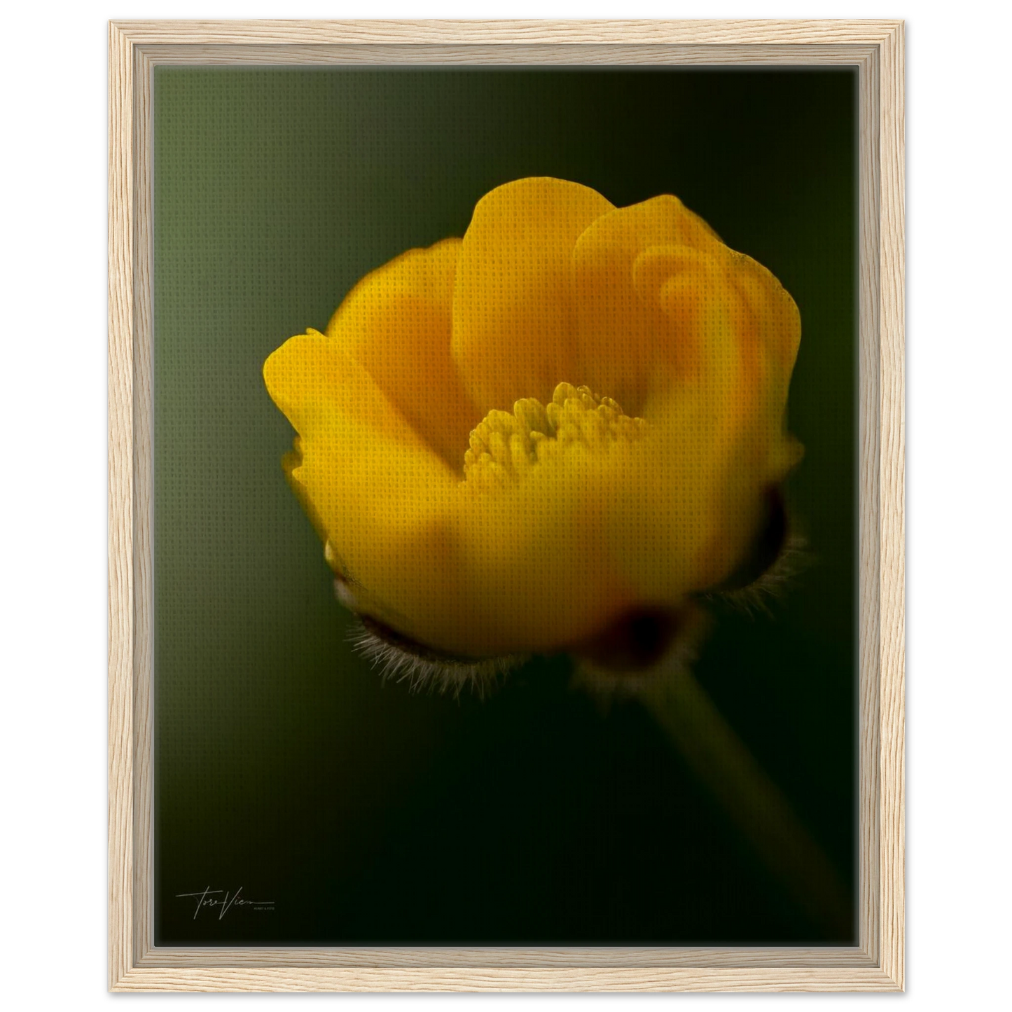 6c1ae9fd-f6d6-43b8-be3a-8a6ea9c4b557