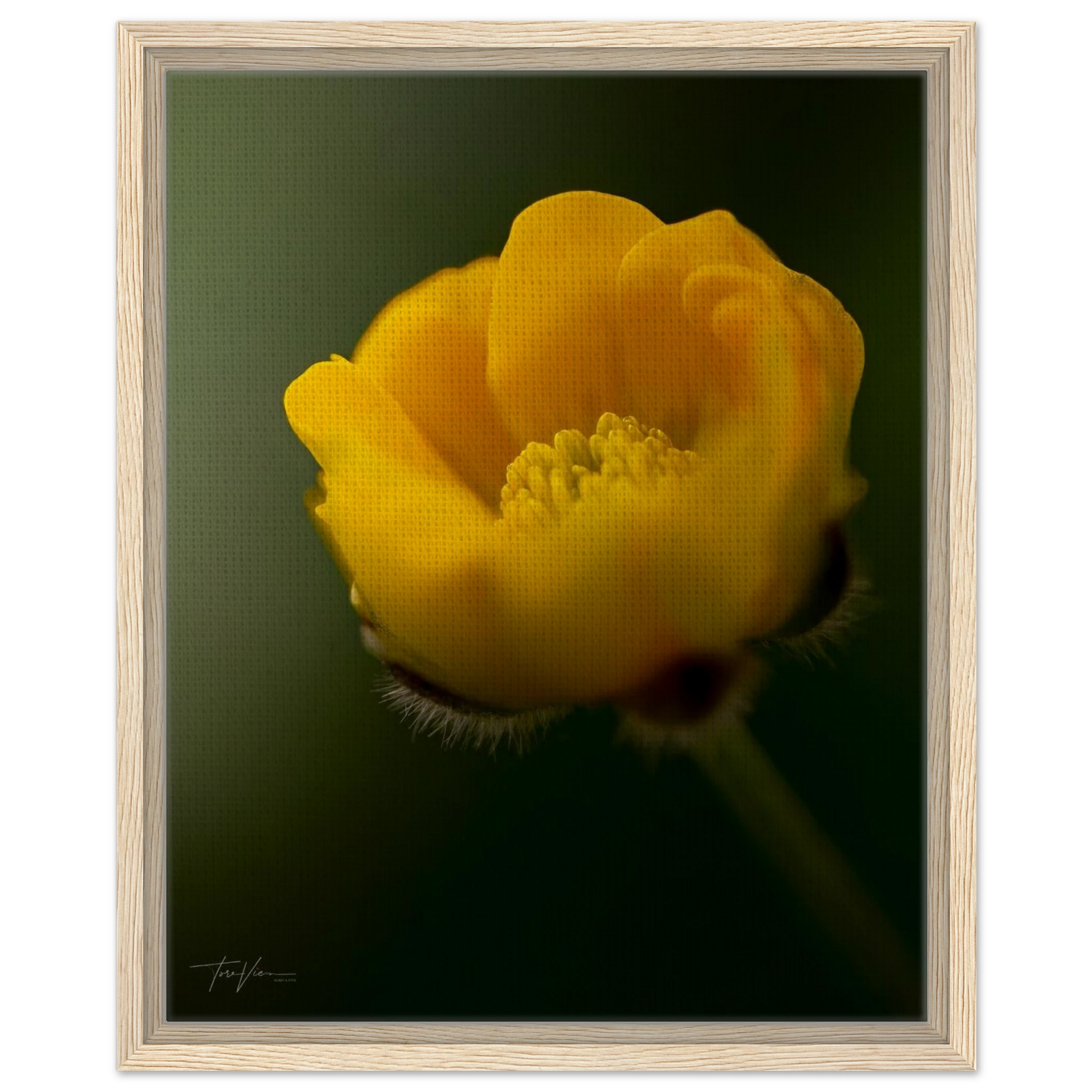 6c1ae9fd-f6d6-43b8-be3a-8a6ea9c4b557