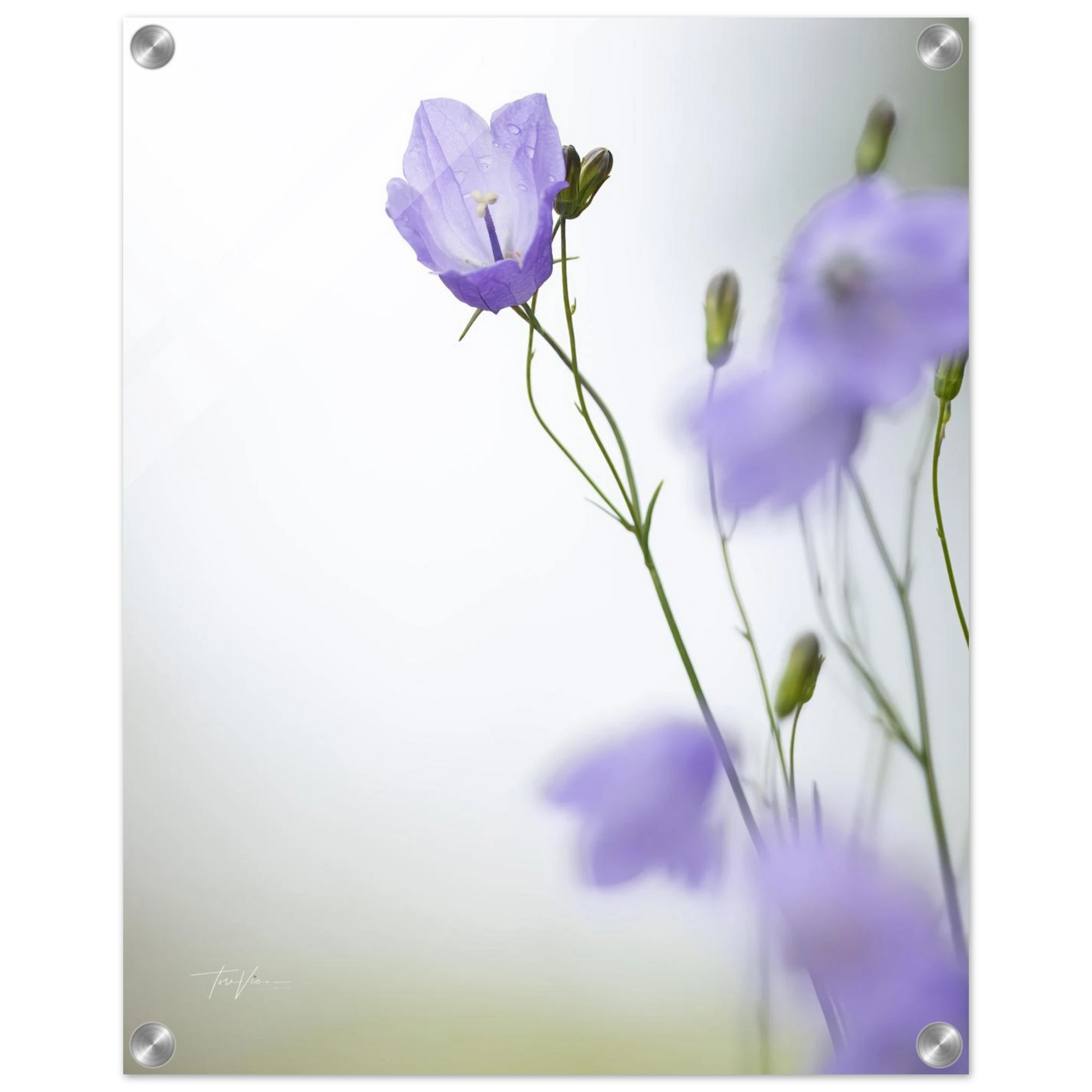 6d67c1da-4b78-4728-8244-9a2a88dff492