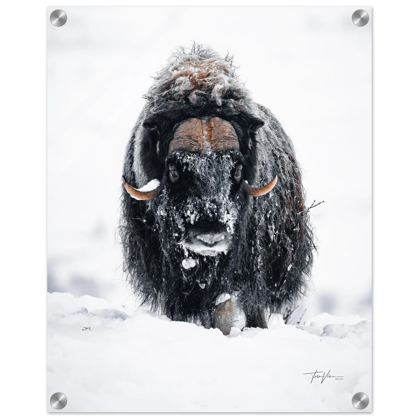 6da3bcb2-8cd2-43d9-b641-f0008736a1bb