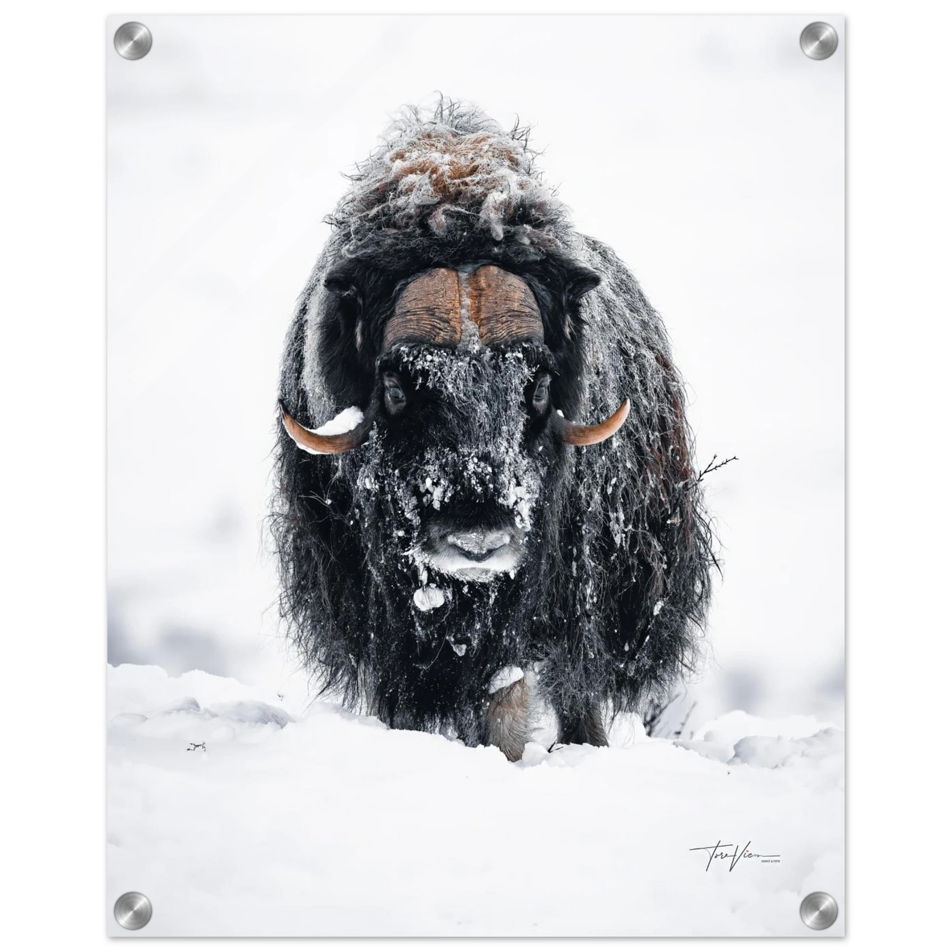 6da3bcb2-8cd2-43d9-b641-f0008736a1bb