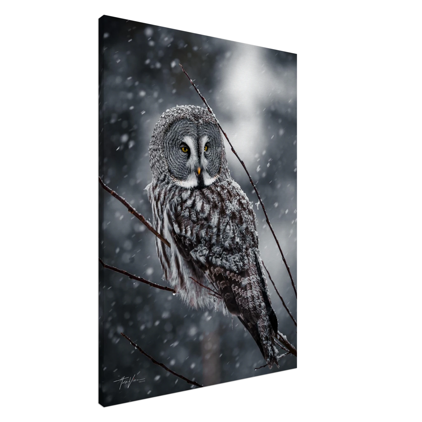 6e7fdd3a-a03f-4efd-8cfa-744815e61aab