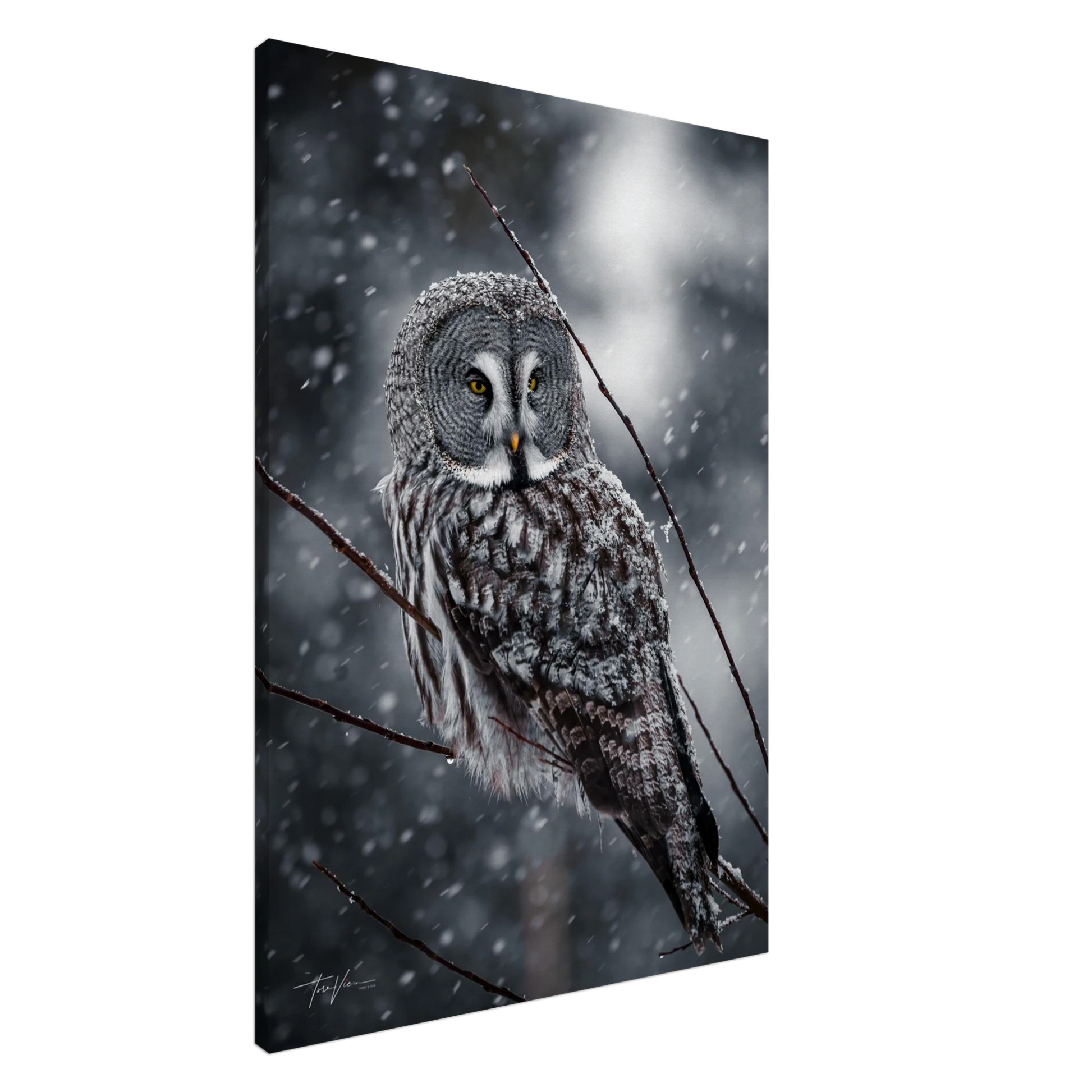 6e7fdd3a-a03f-4efd-8cfa-744815e61aab