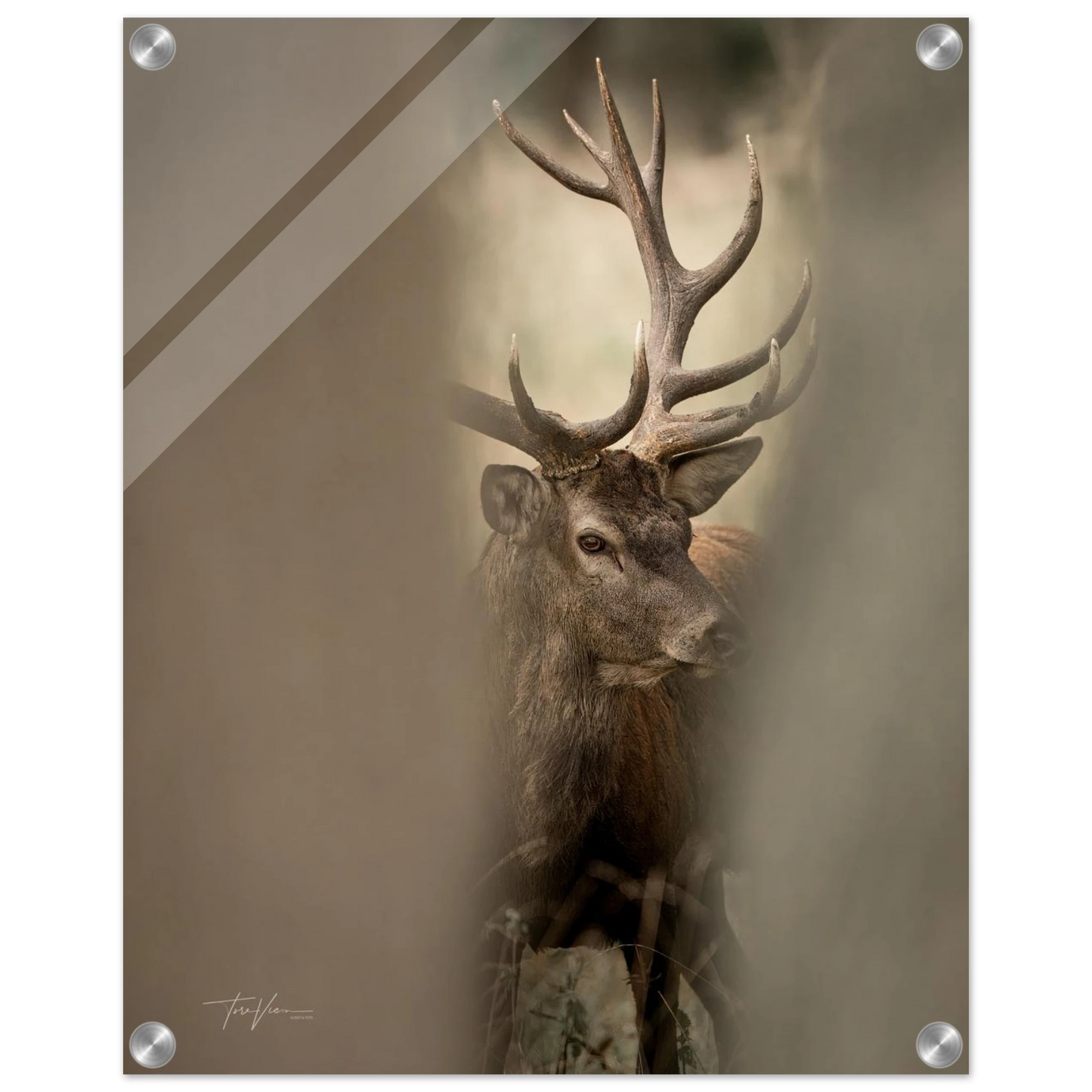 6e81c766-8070-4df0-b972-c5cfbe0304e1