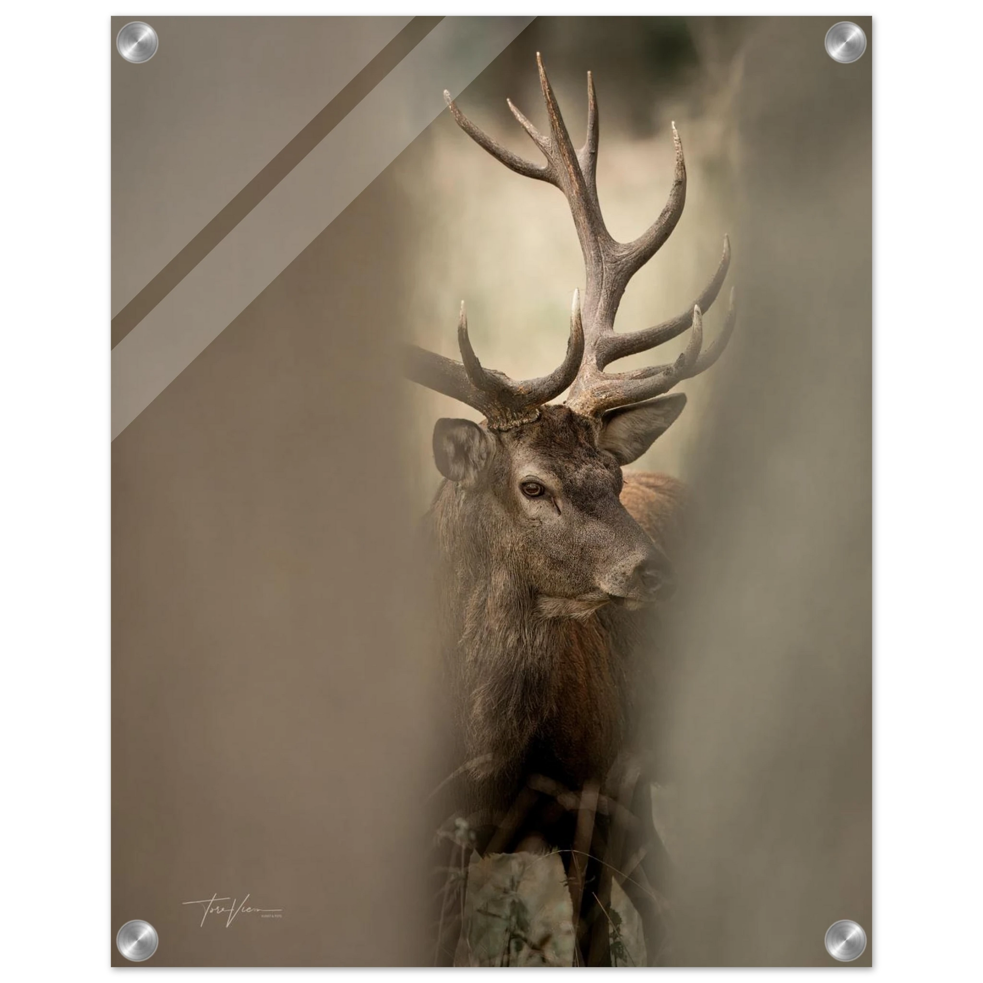 6e81c766-8070-4df0-b972-c5cfbe0304e1