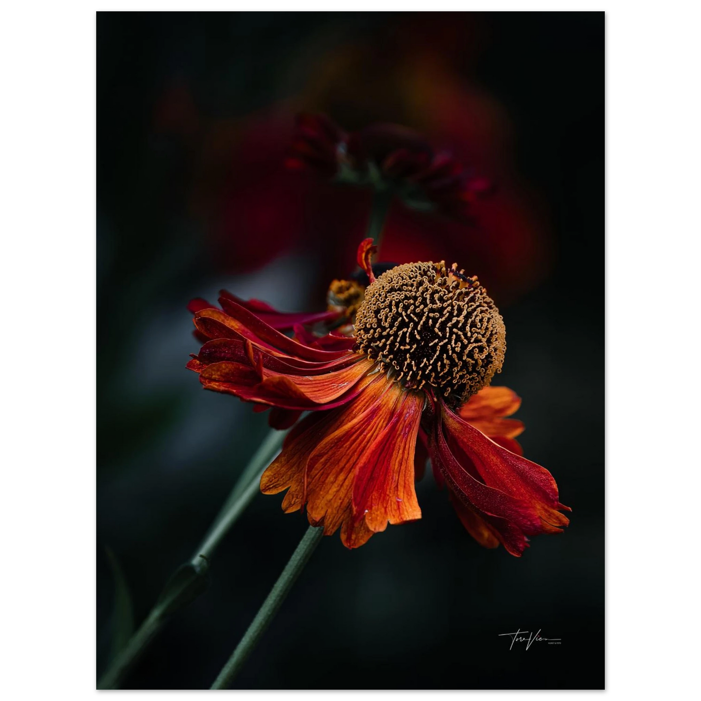 6f368cbe-fa7b-4acb-a326-73d19aee2460