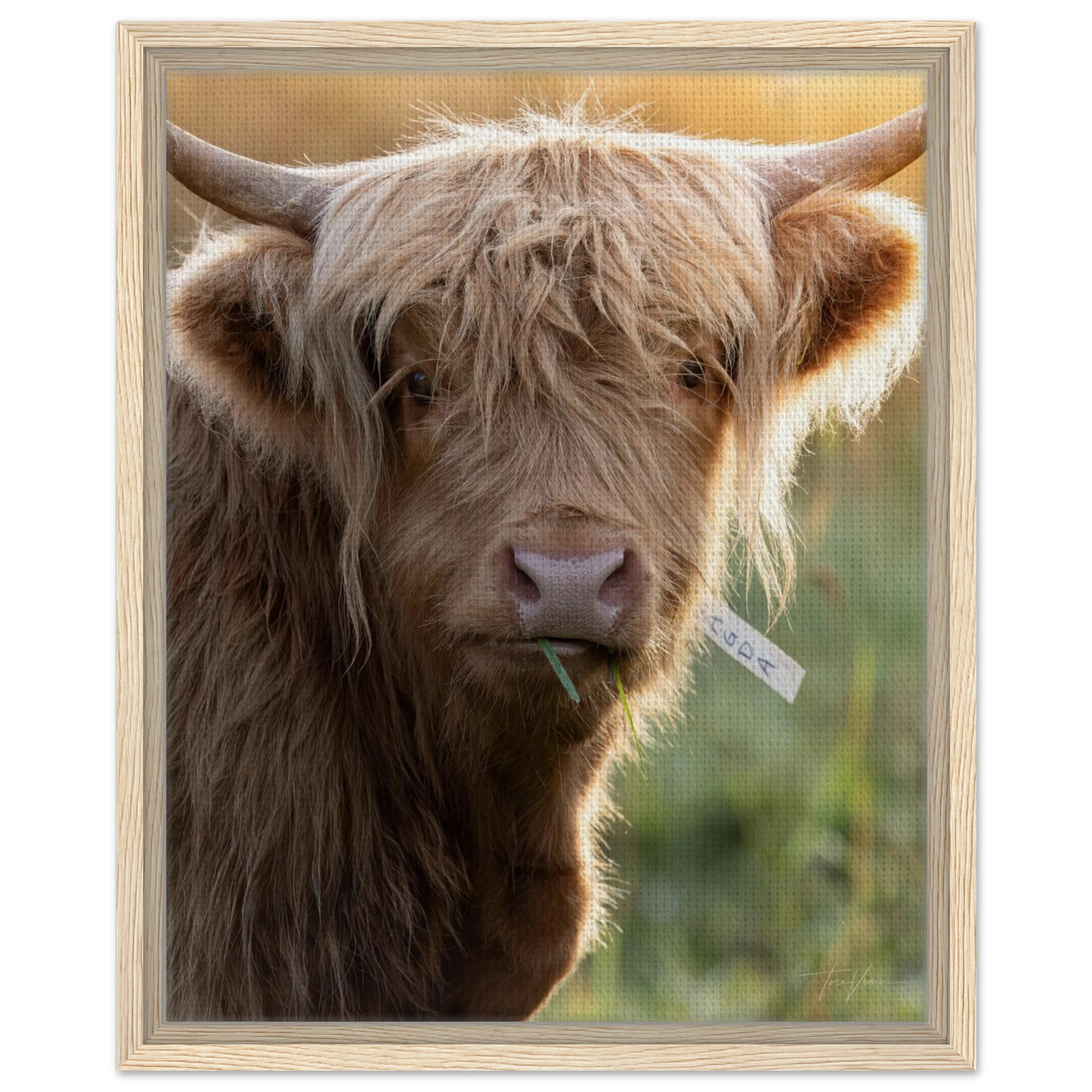 7002f580-1b30-4c49-bc7d-24a0f3fbd30e