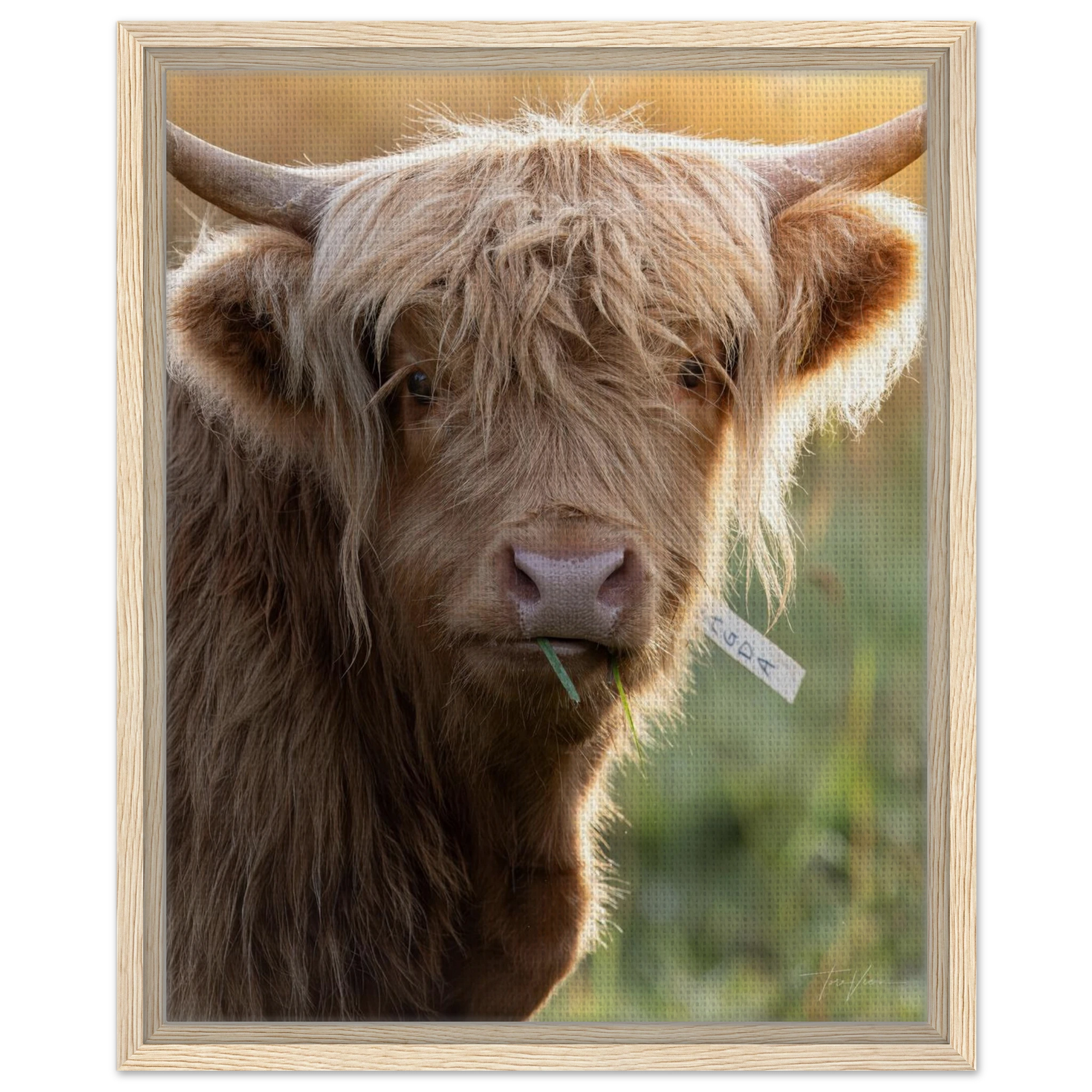 7002f580-1b30-4c49-bc7d-24a0f3fbd30e