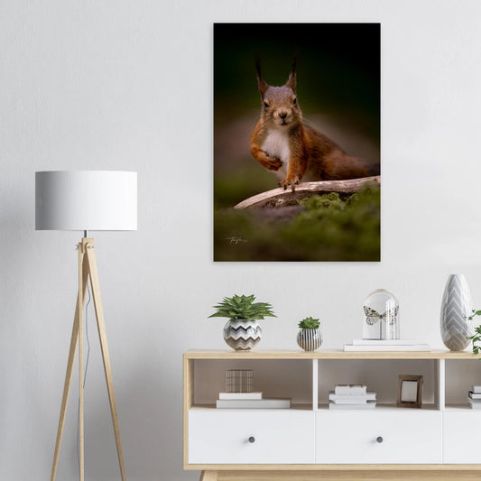 70acd88d-bff5-4789-a050-01b4e1831a33