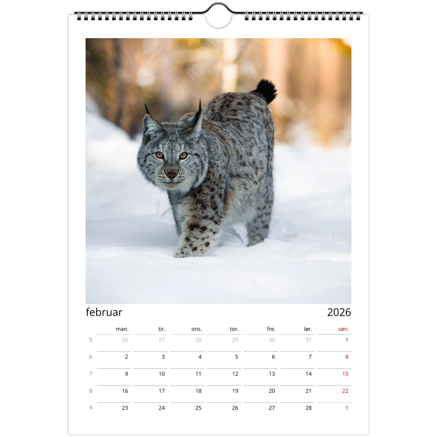 70bd17f1-7943-424c-b8fb-c1968887d90b