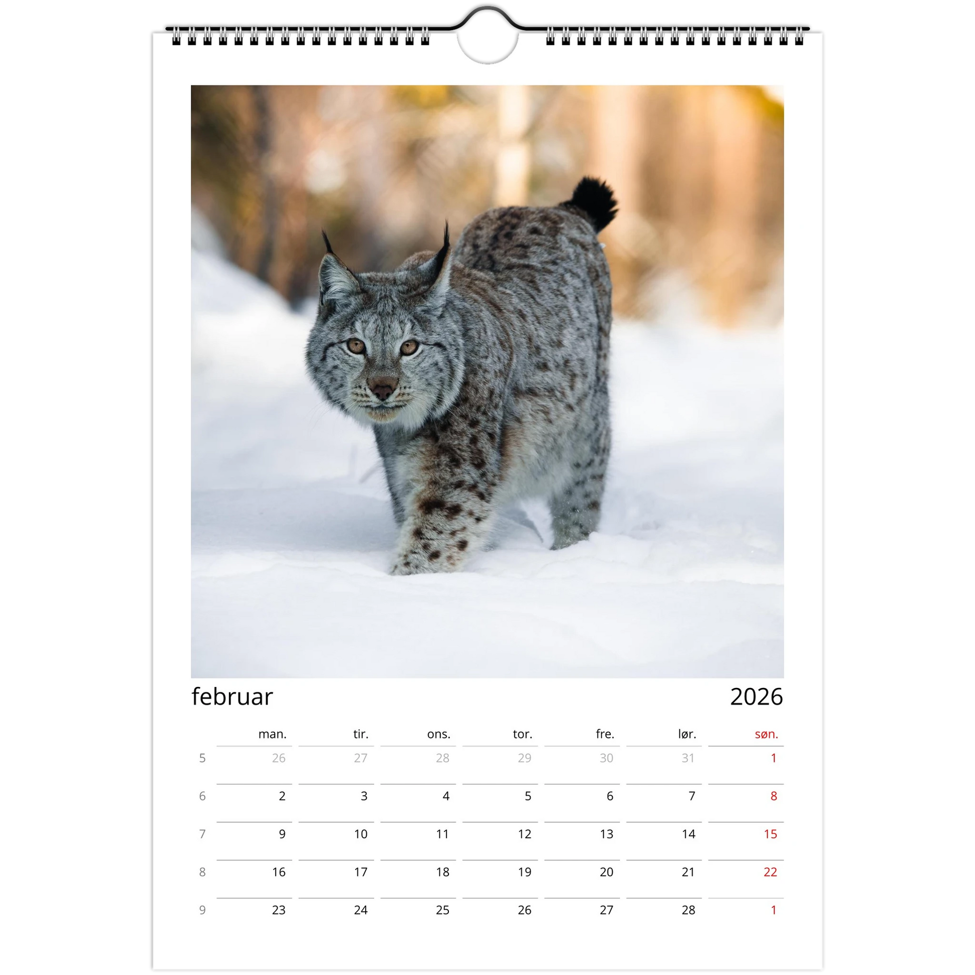 70bd17f1-7943-424c-b8fb-c1968887d90b