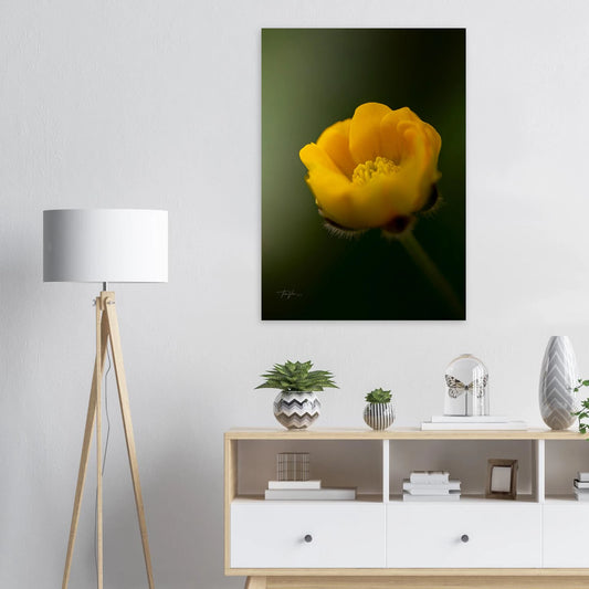 72823af7-0beb-4dd0-89da-51caeec0918b