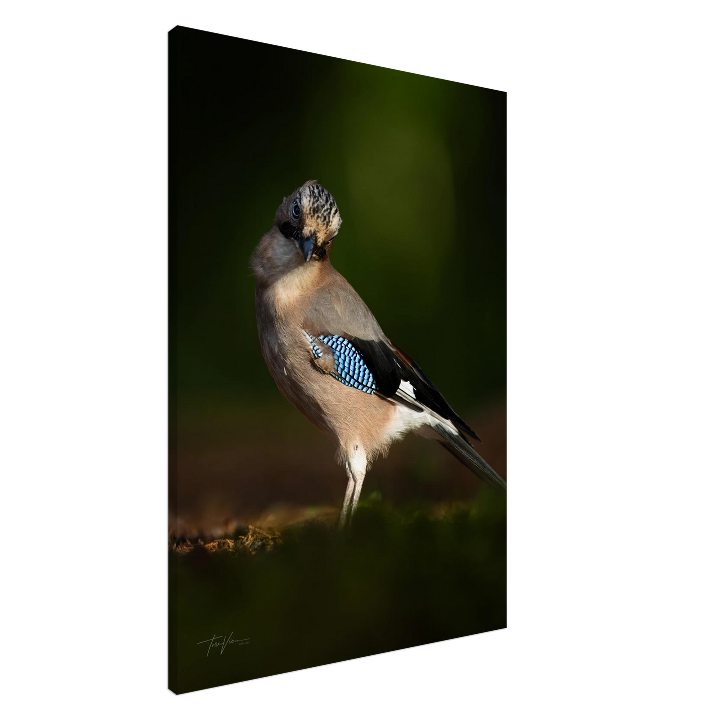 72d34c3b-6875-4d12-b7ec-44eee35e4ad4