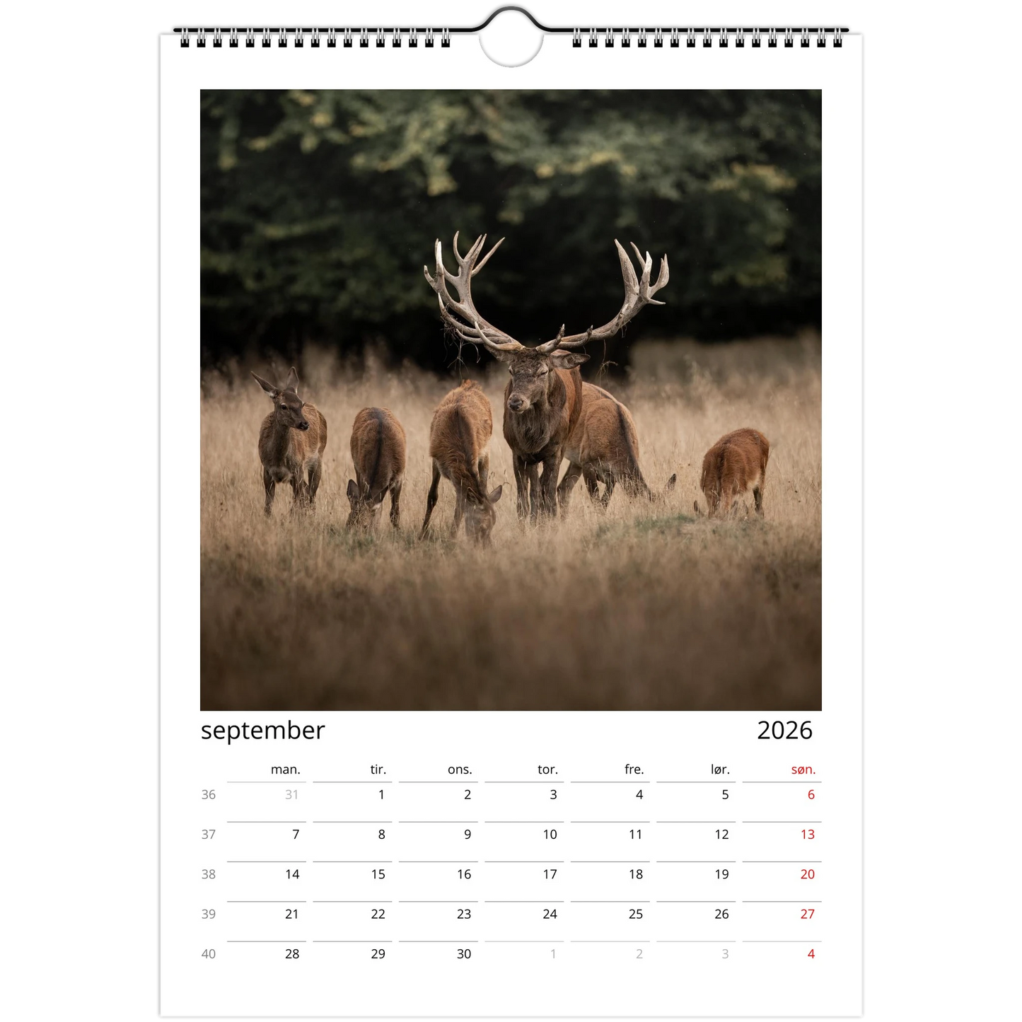 73d10754-8559-4352-b6ce-df4534eeb4d2