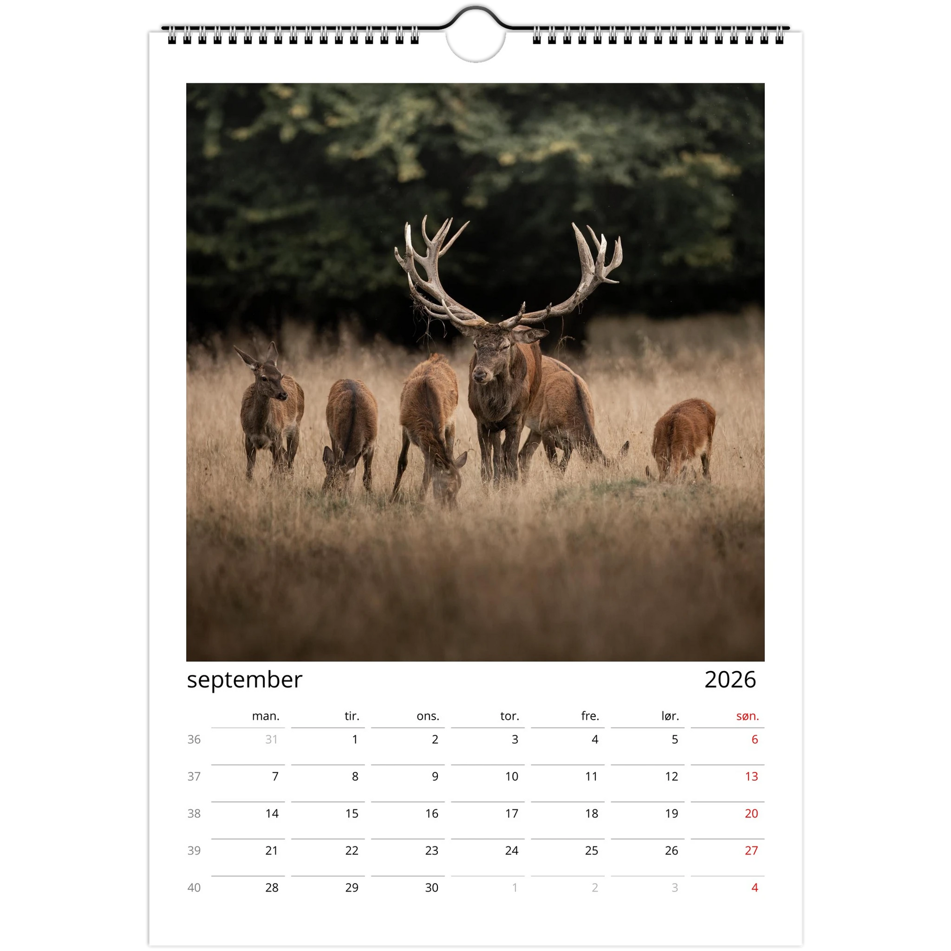 73d10754-8559-4352-b6ce-df4534eeb4d2