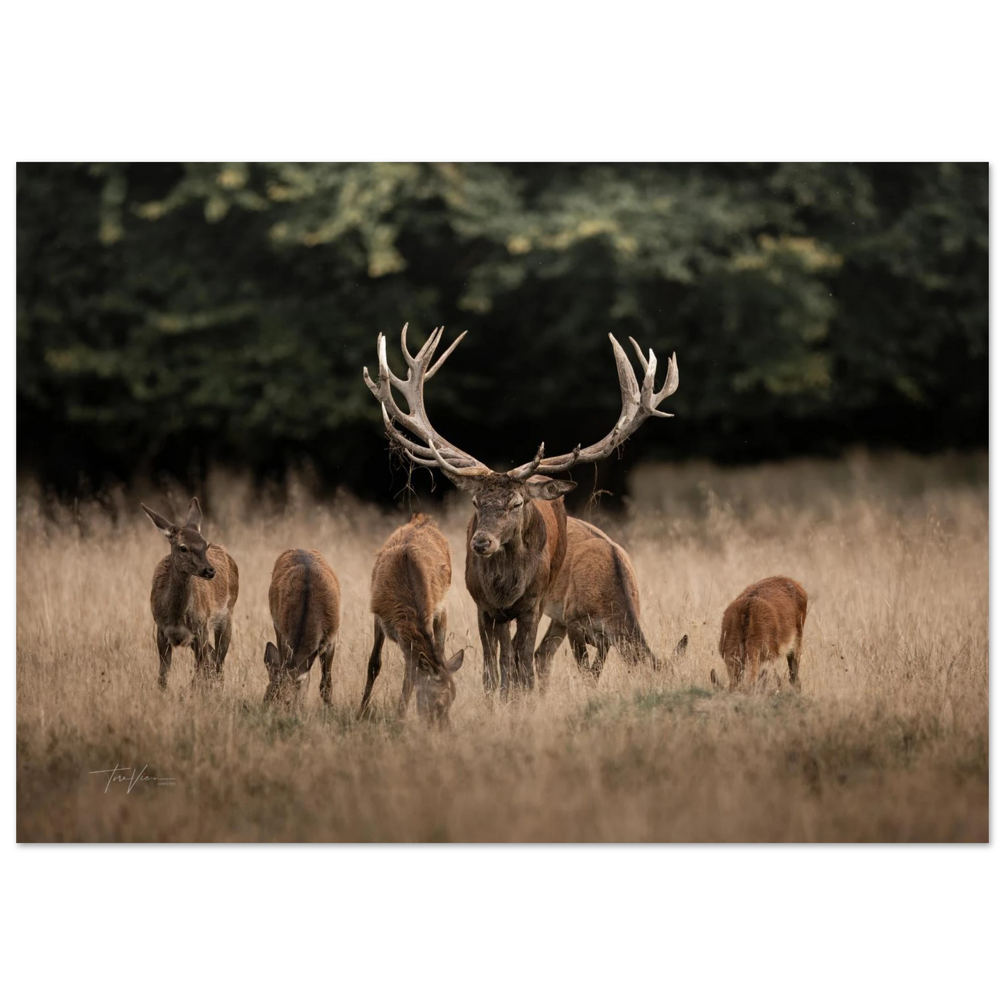 73ed39e5-c57f-47de-b3a2-3191fa40d092