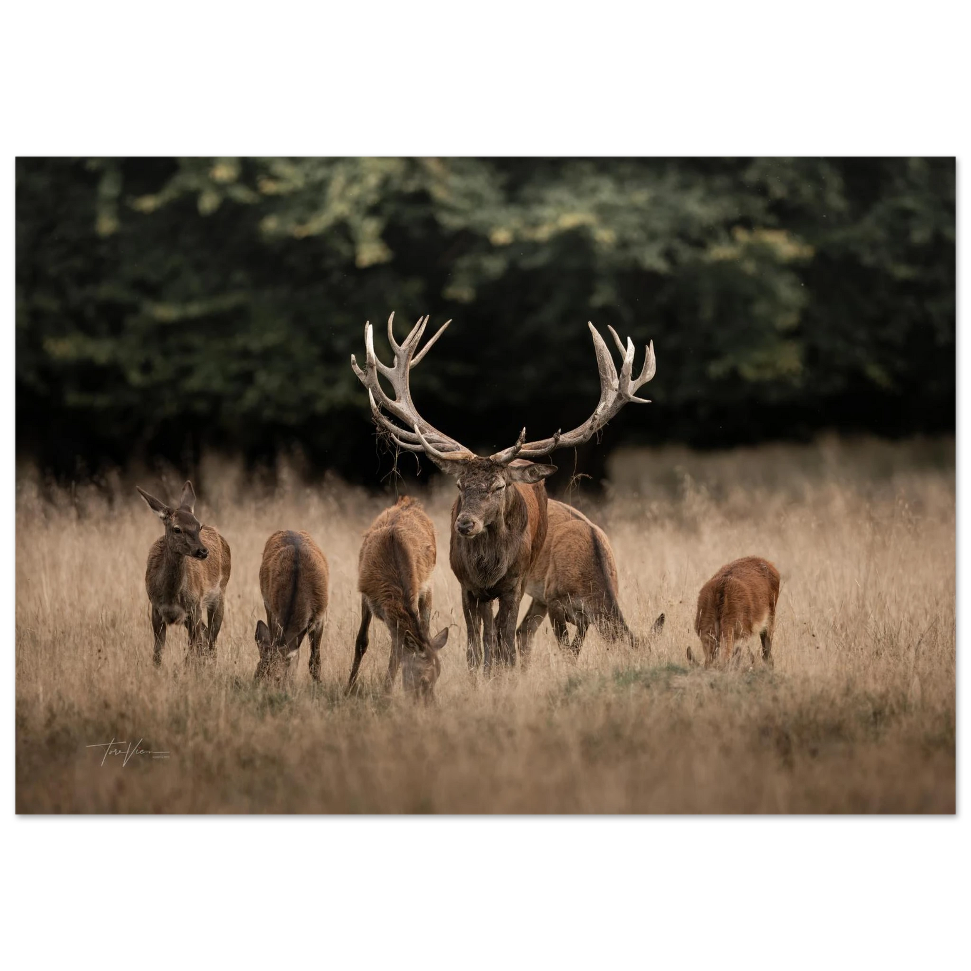 73ed39e5-c57f-47de-b3a2-3191fa40d092