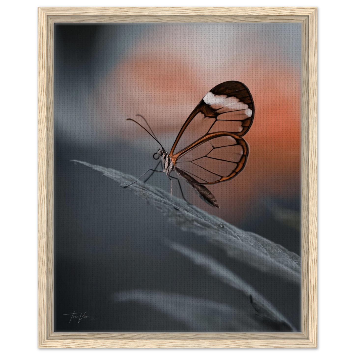 743a3ba1-cbca-42ca-b014-e6a9d054cbde