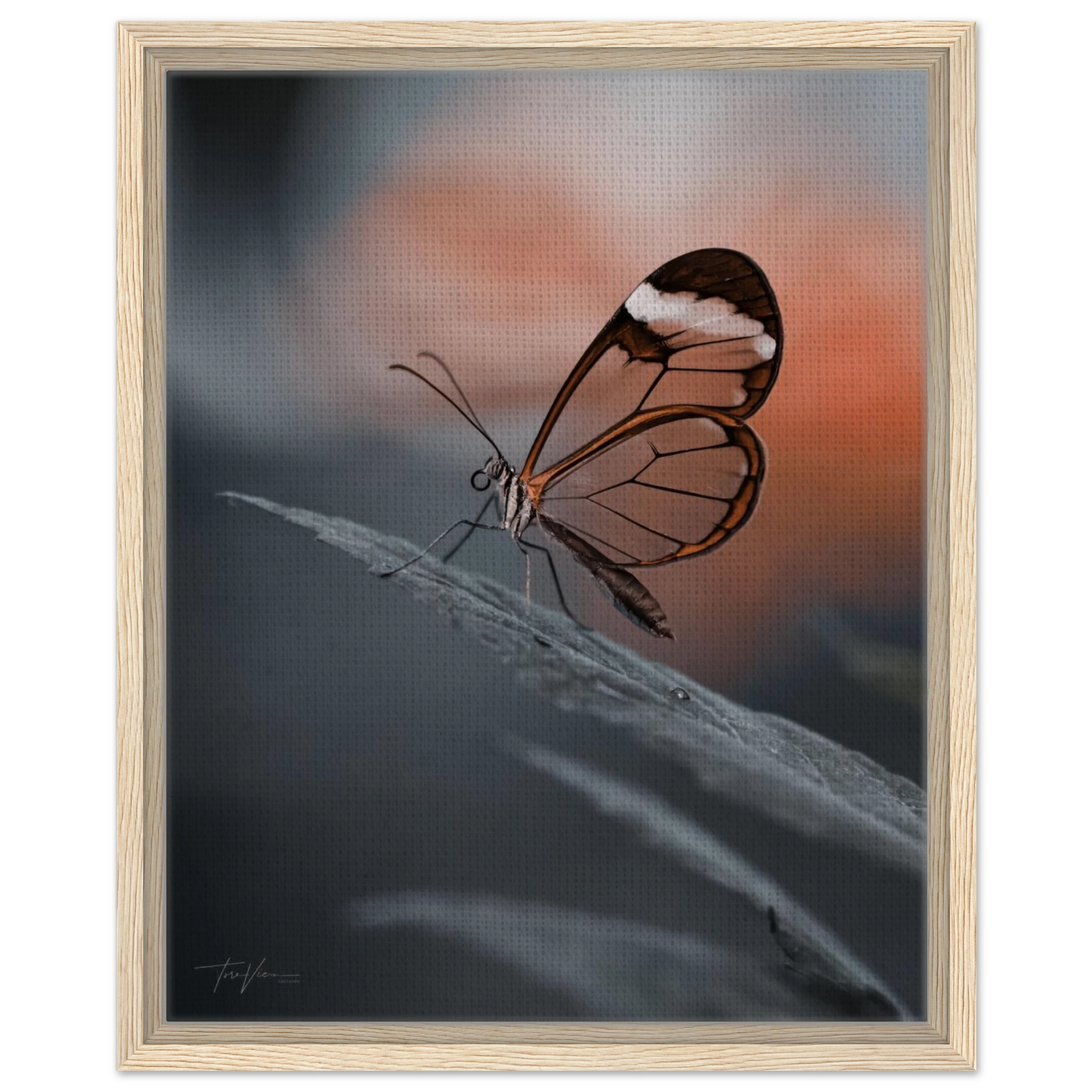 743a3ba1-cbca-42ca-b014-e6a9d054cbde