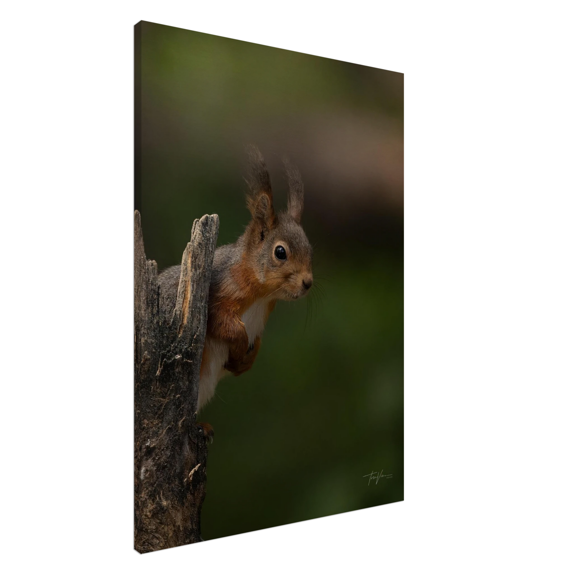 75519e88-b396-440c-965d-ce84f960b660