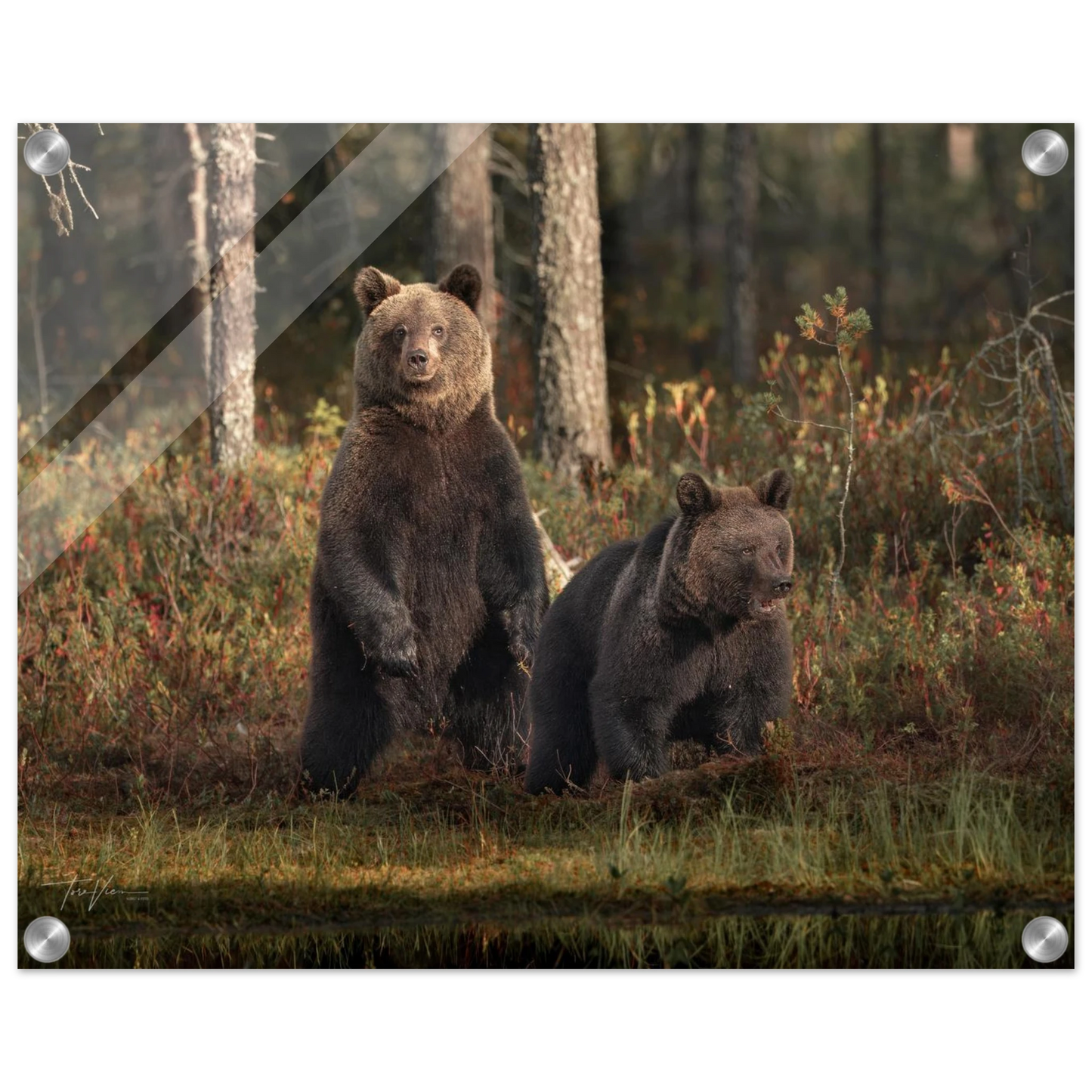 75f7670f-9fb1-438c-a0ae-9f9ec0d93b3d