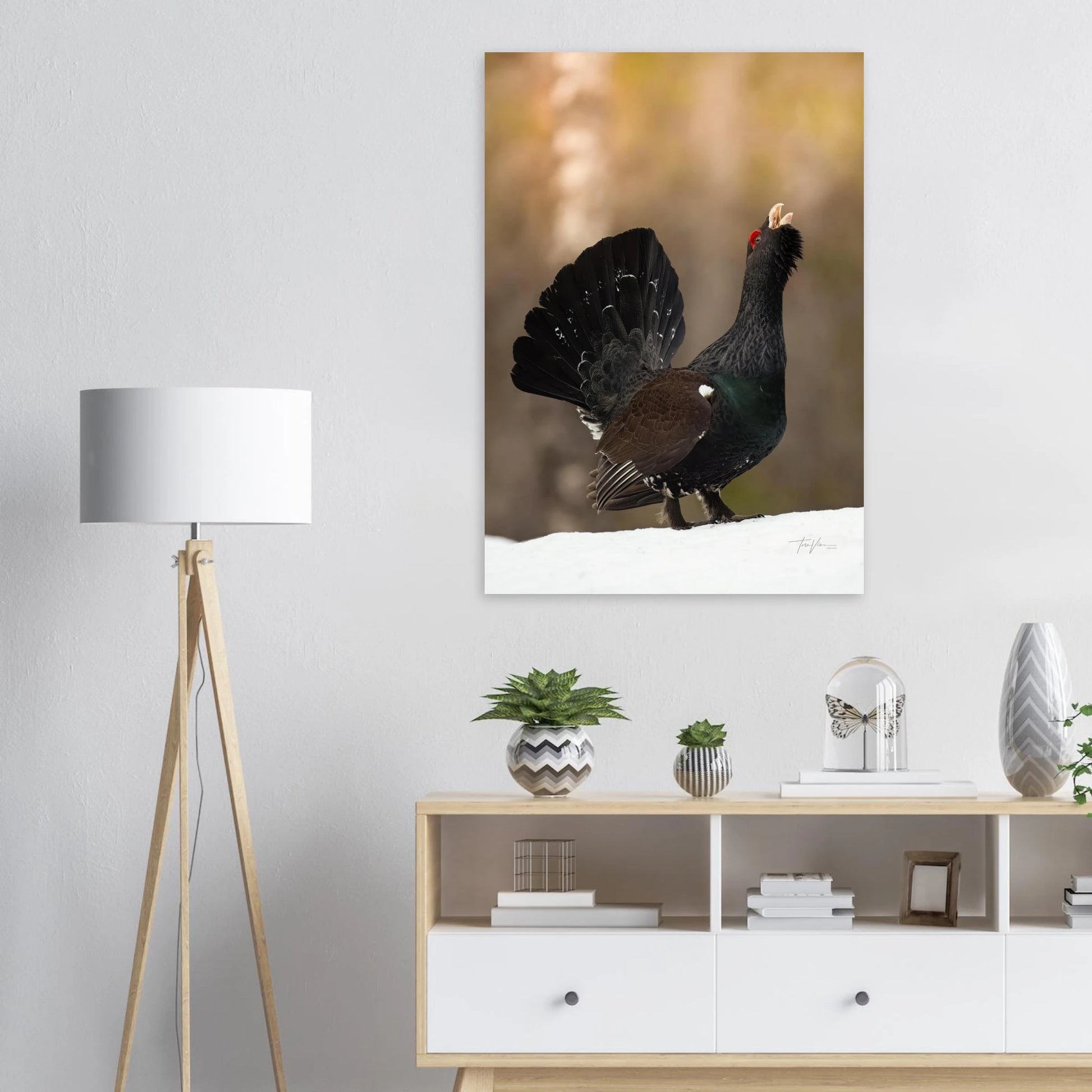 76084774-536c-4014-b4ce-5da2b4601586