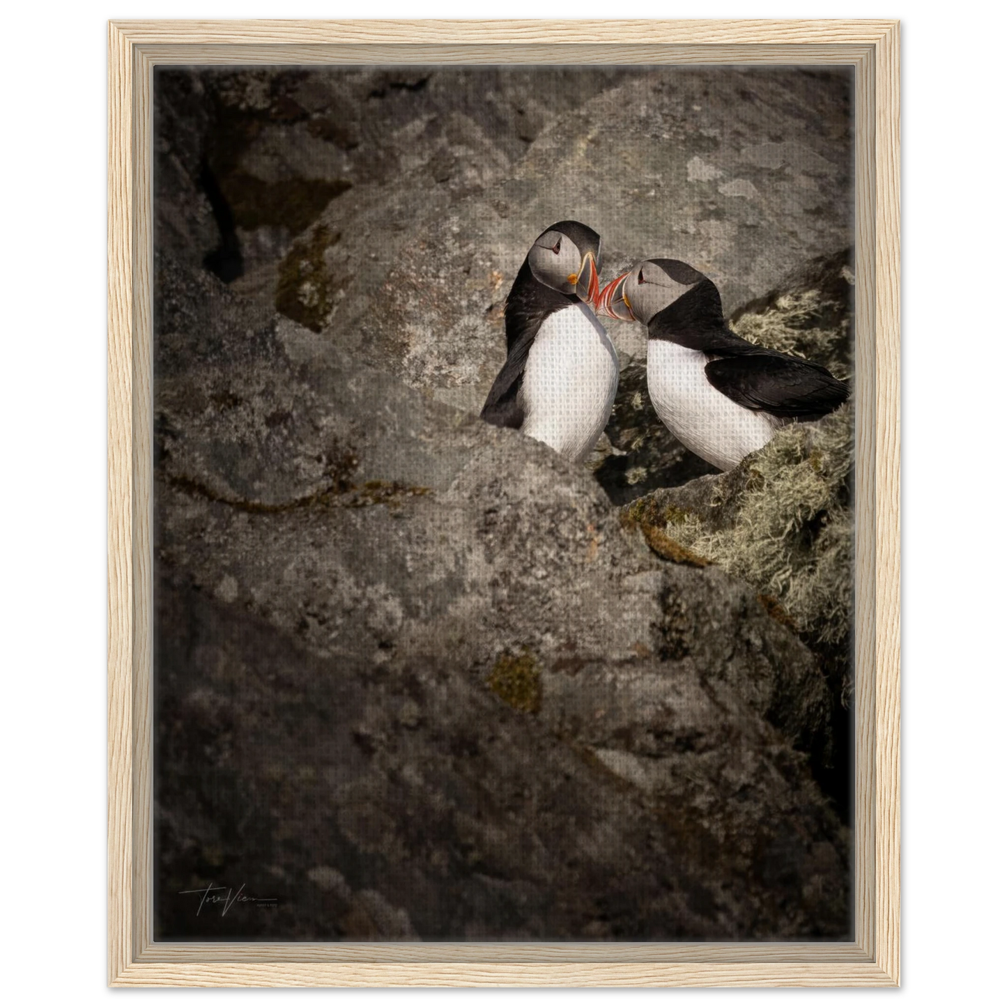 762d0847-6396-42b0-b2e2-35223ead4ff2