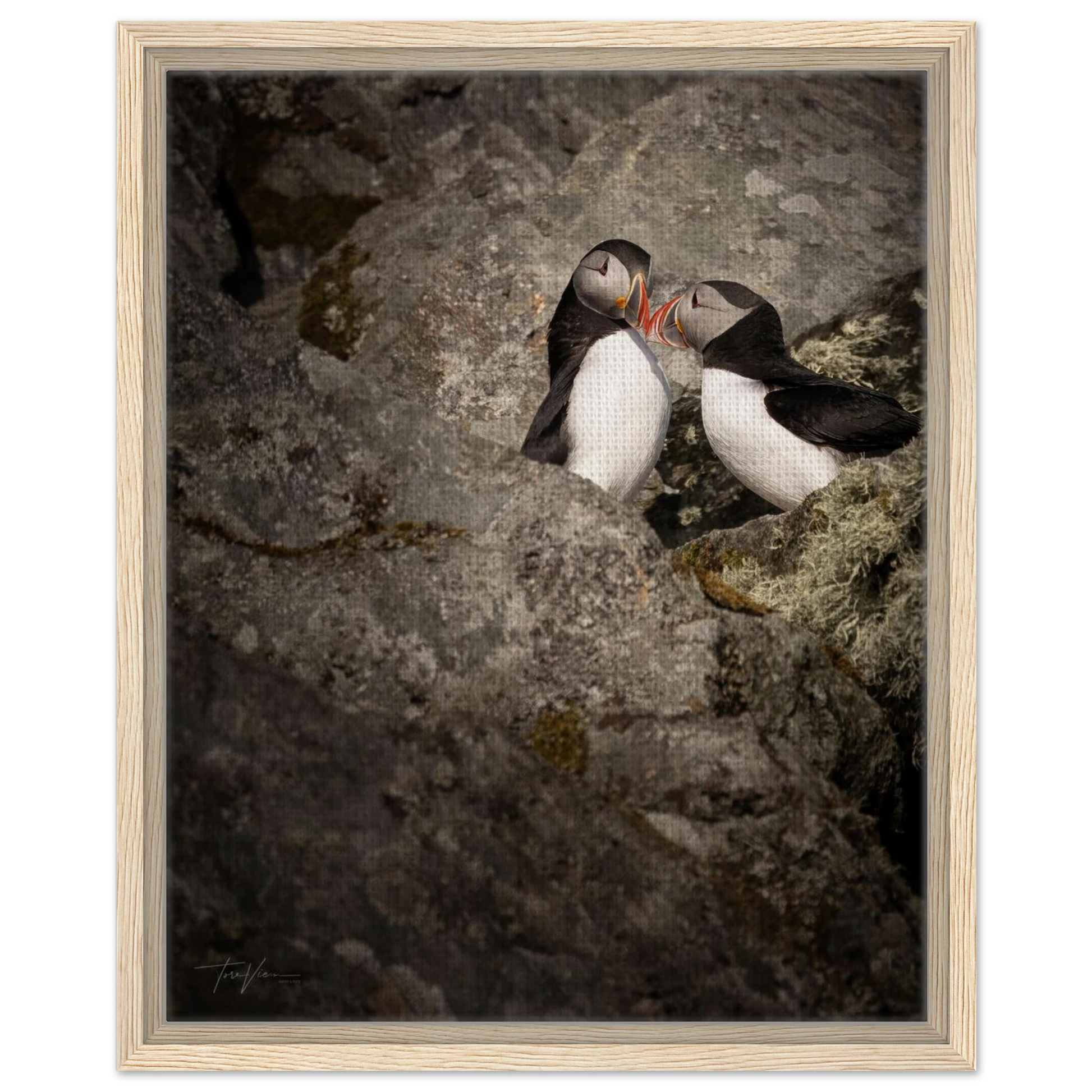 762d0847-6396-42b0-b2e2-35223ead4ff2