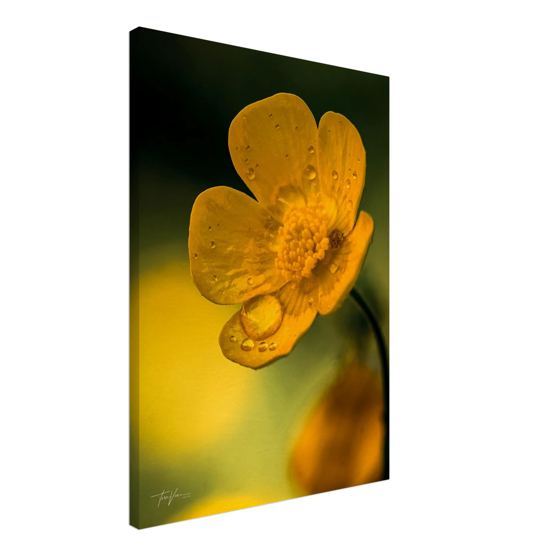 7630ffc8-c54e-4fcc-aef1-63d56ee35188