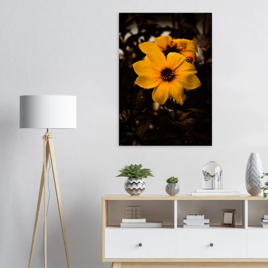 764b7321-f2a9-4807-8a50-3df38022001b