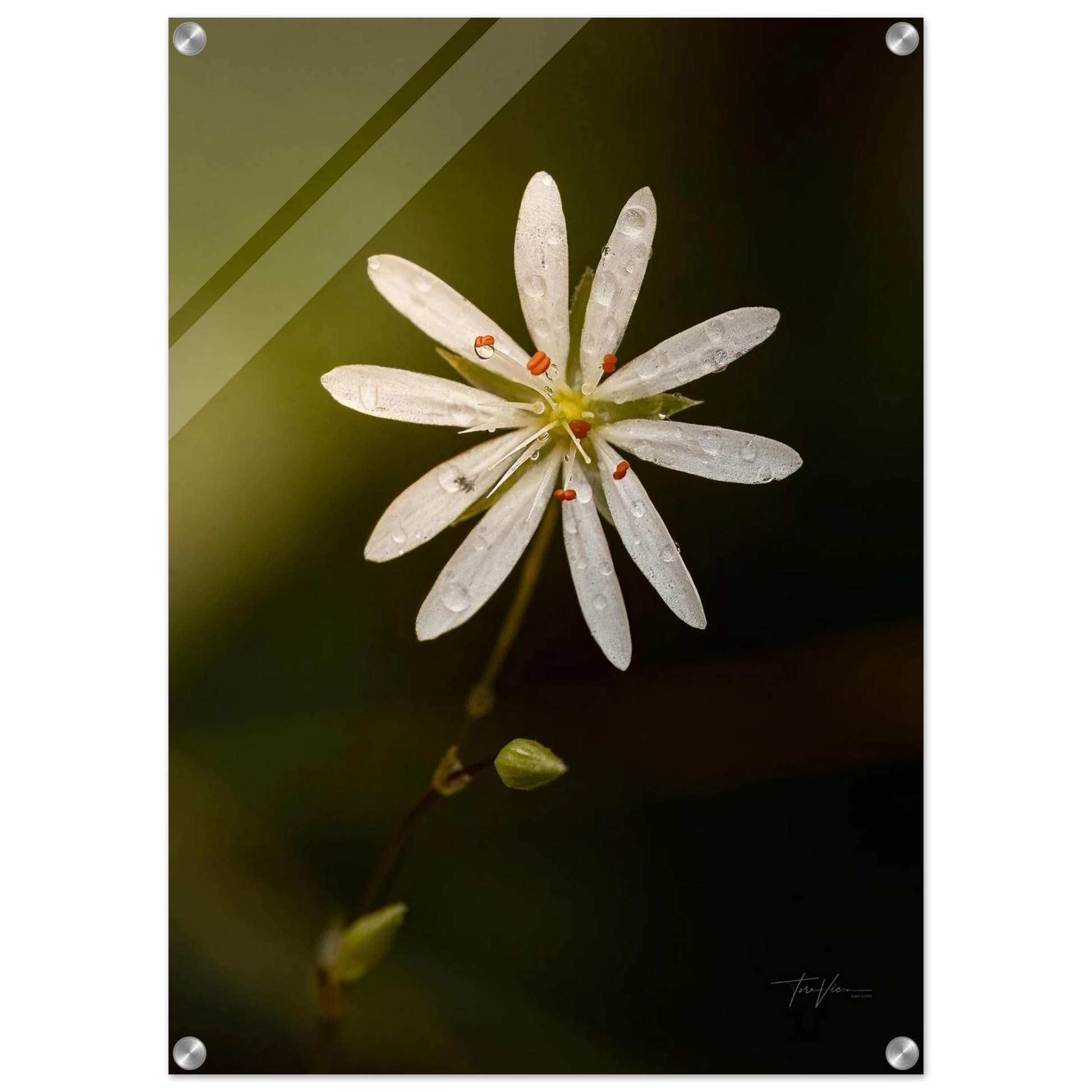 76d7f857-864c-47c4-a293-b122229a0949