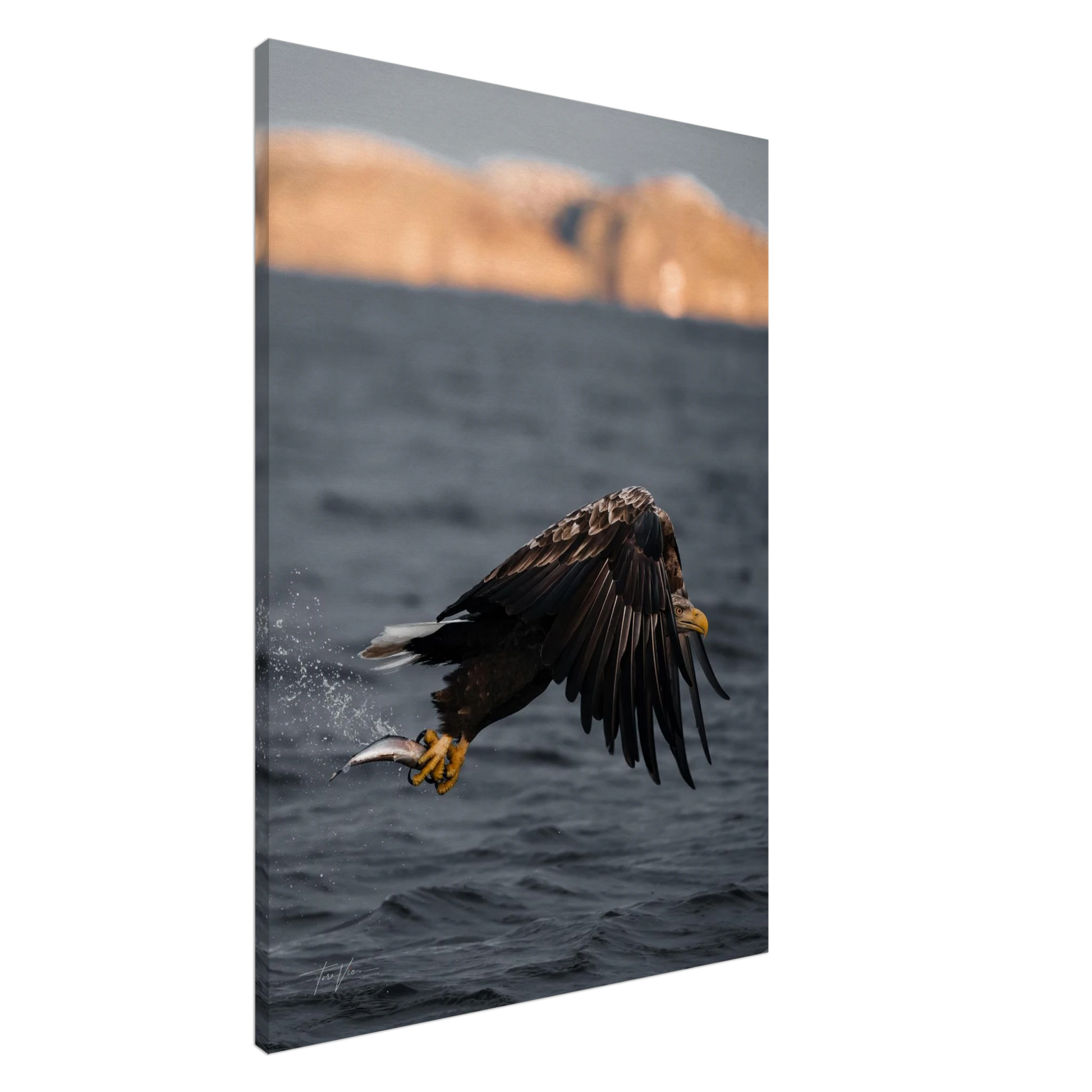 77d1eb4f-e1cb-4e35-8f94-2163ce095f41