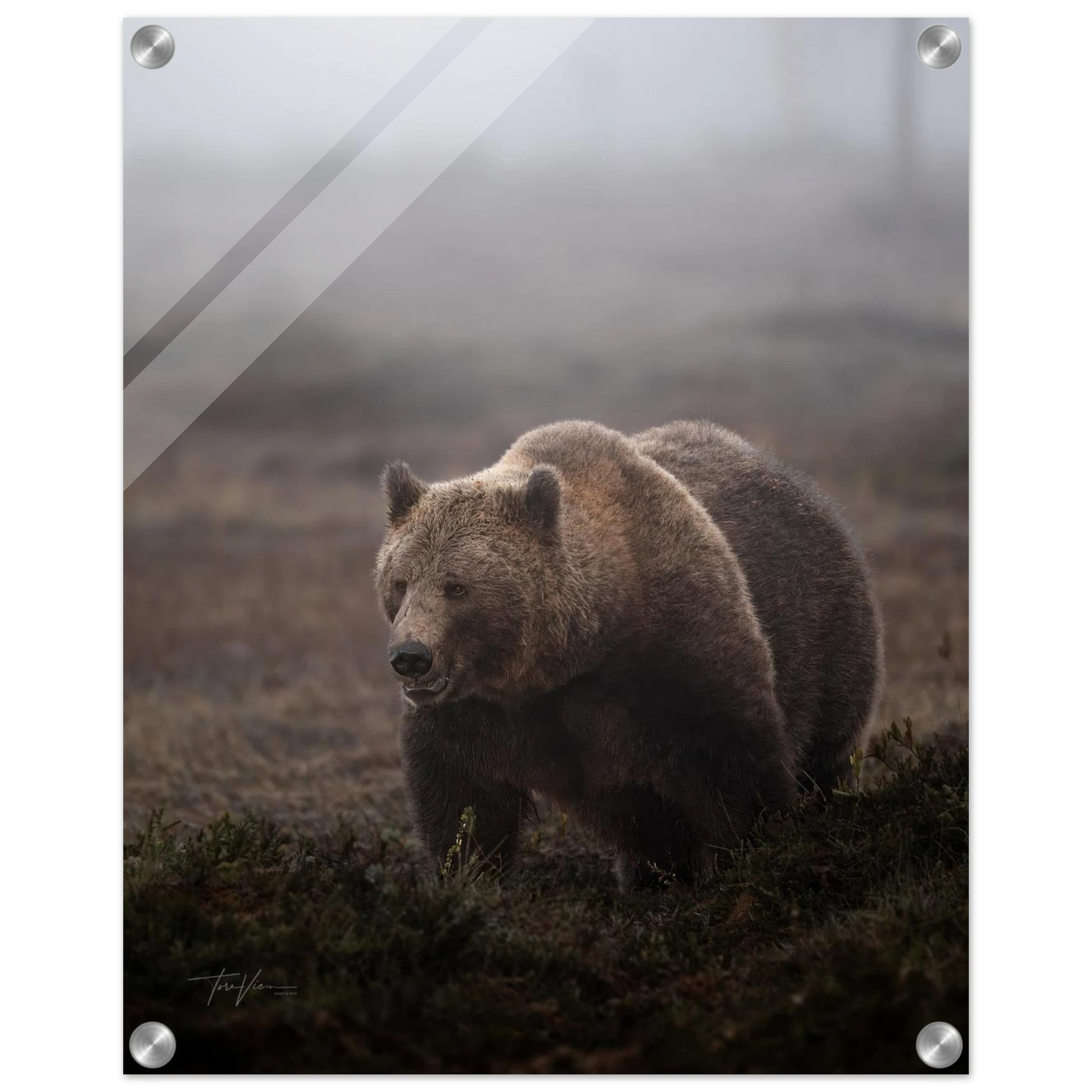 78071c59-db44-4368-a079-ef938e9080a8