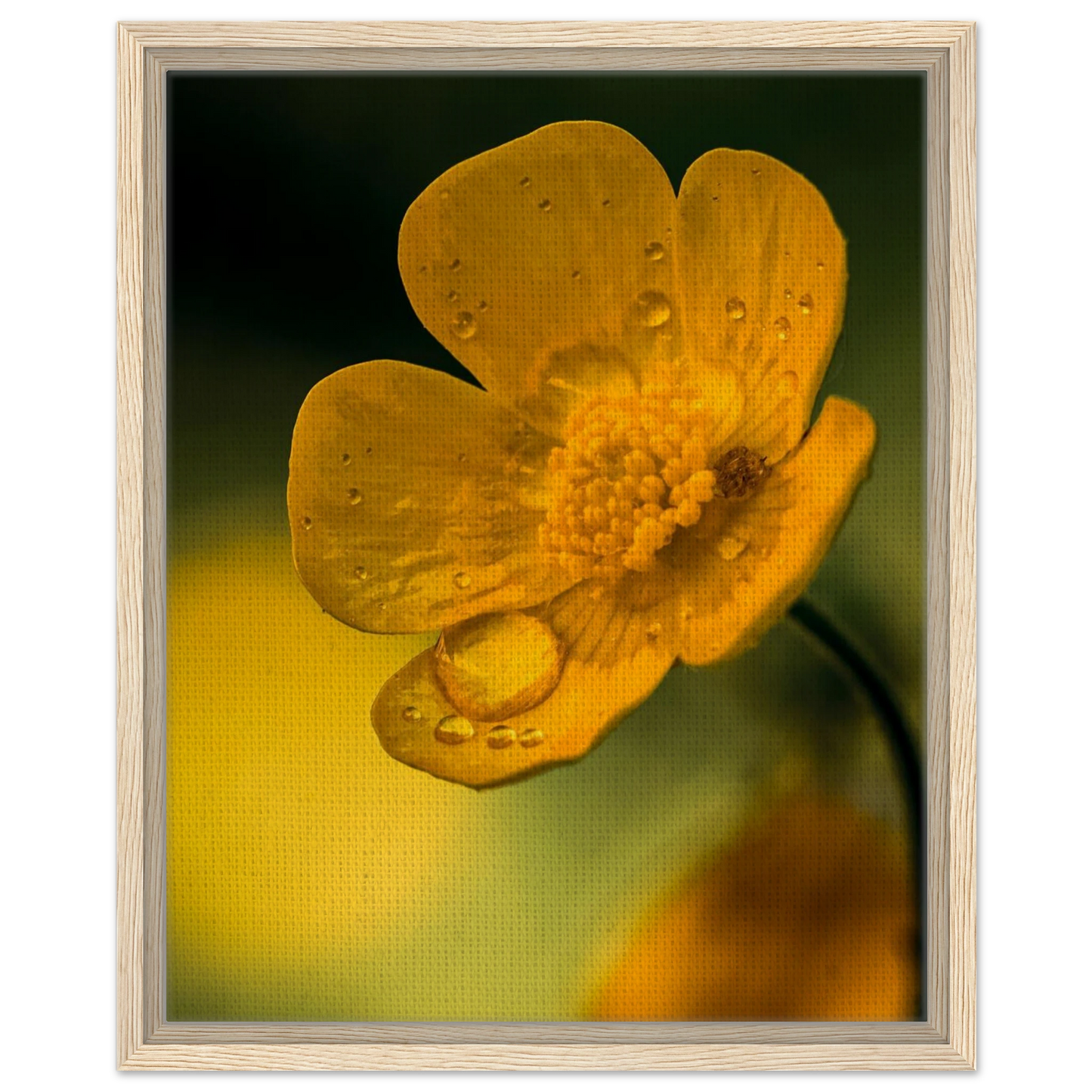 7a495ba8-7e19-485d-a22f-1e2dbc37205b