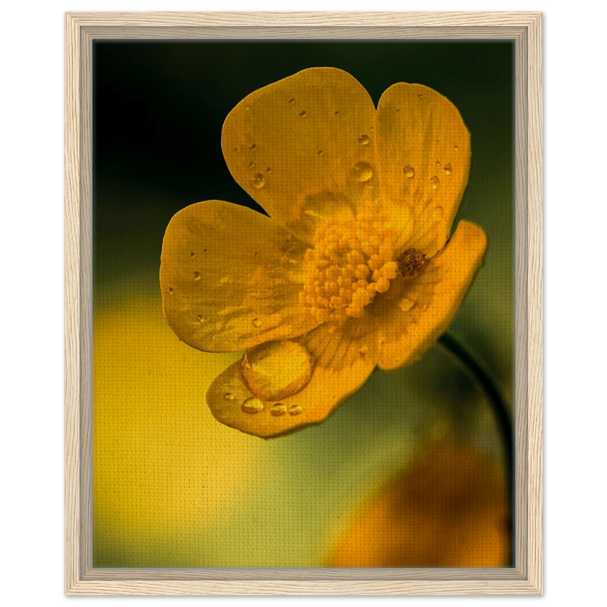 7a495ba8-7e19-485d-a22f-1e2dbc37205b