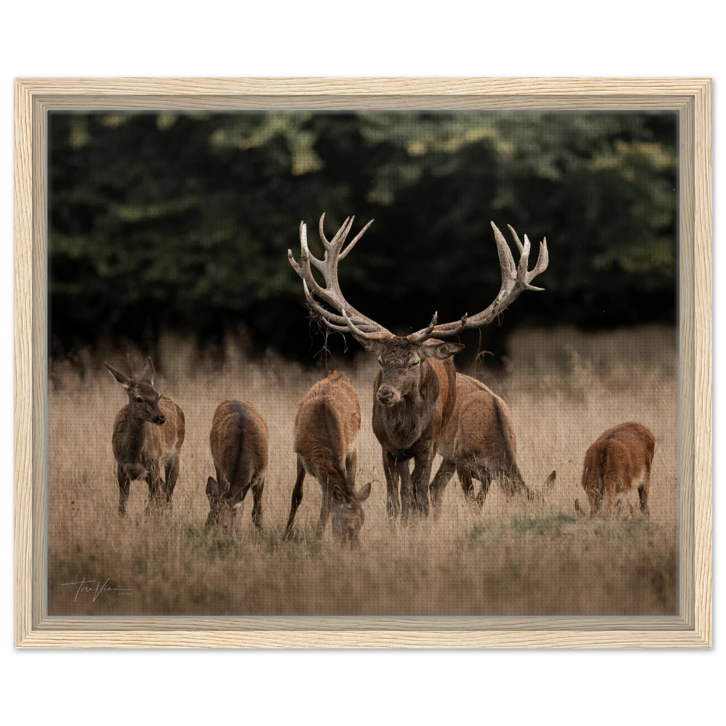 7a56cdf4-65f9-43a7-ae22-f0b8065050dd