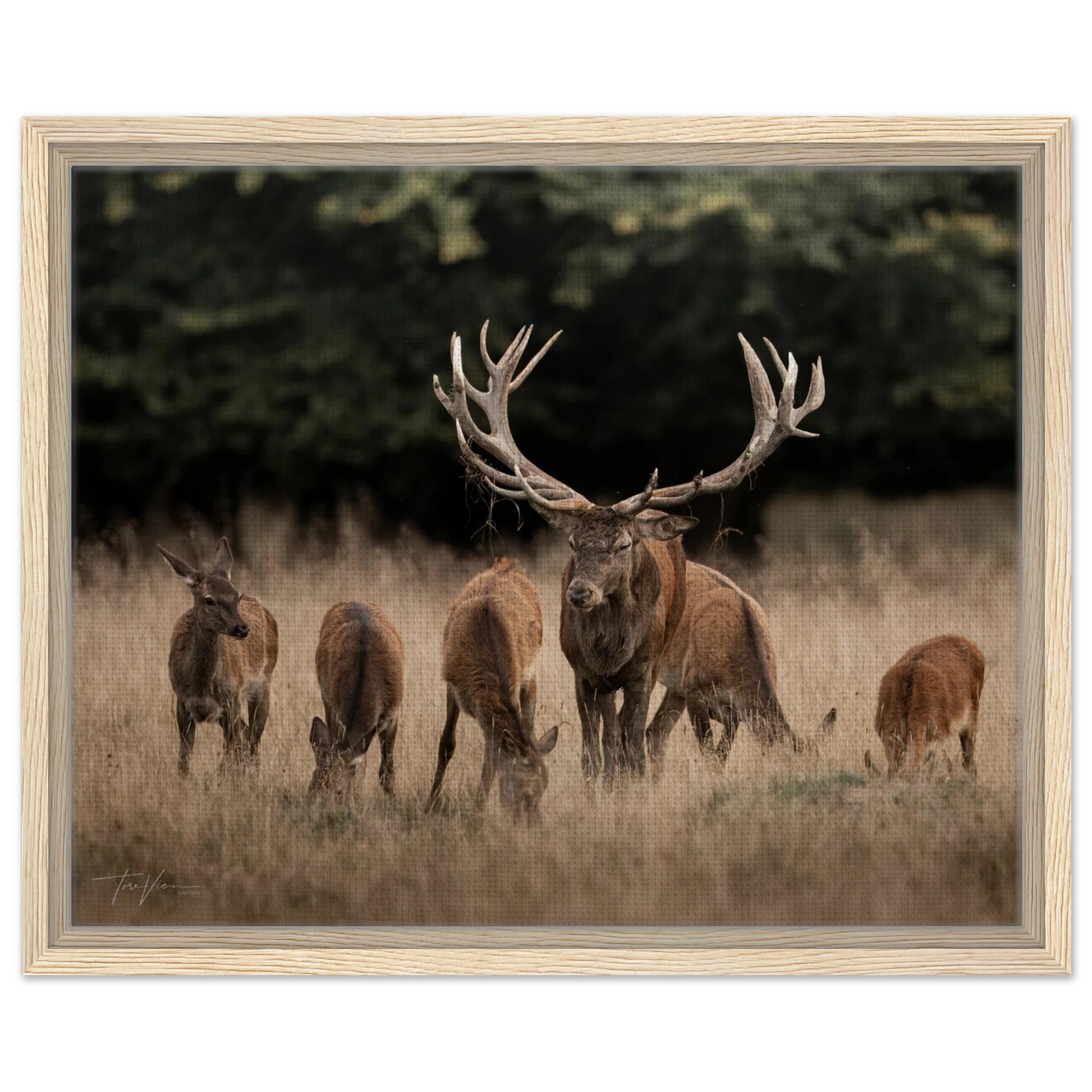 7a56cdf4-65f9-43a7-ae22-f0b8065050dd